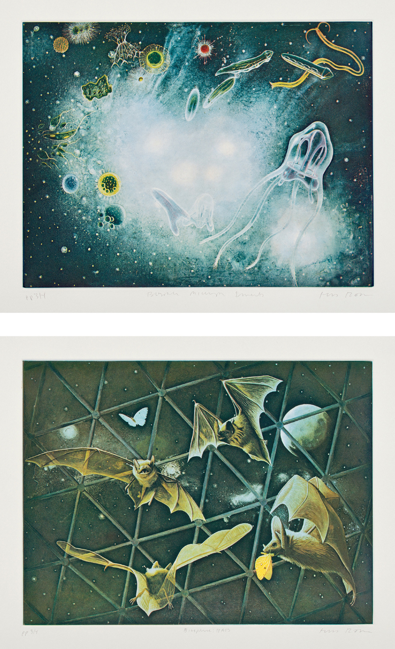 The Biosphere Micro-Organisms; and Biosphere Bats