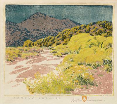 Arroyo Chamisa (C. 121)