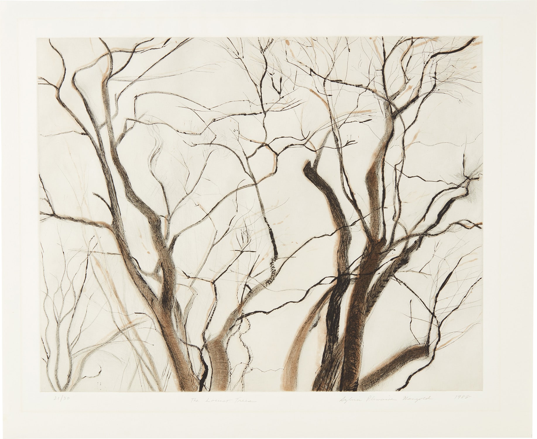 The Locust Trees (state II)