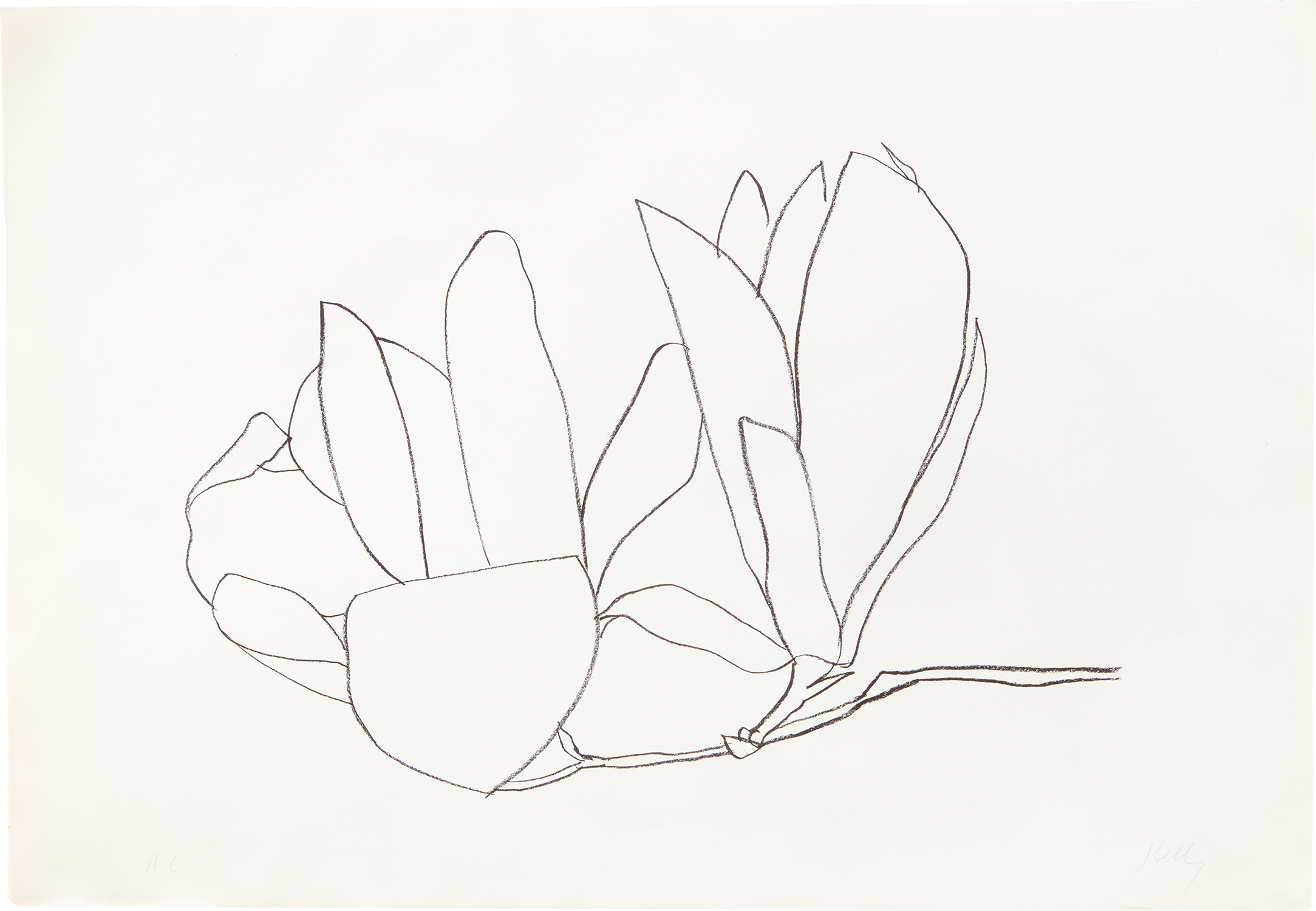 Ellsworth Kelly — Magnolia (A. 56)