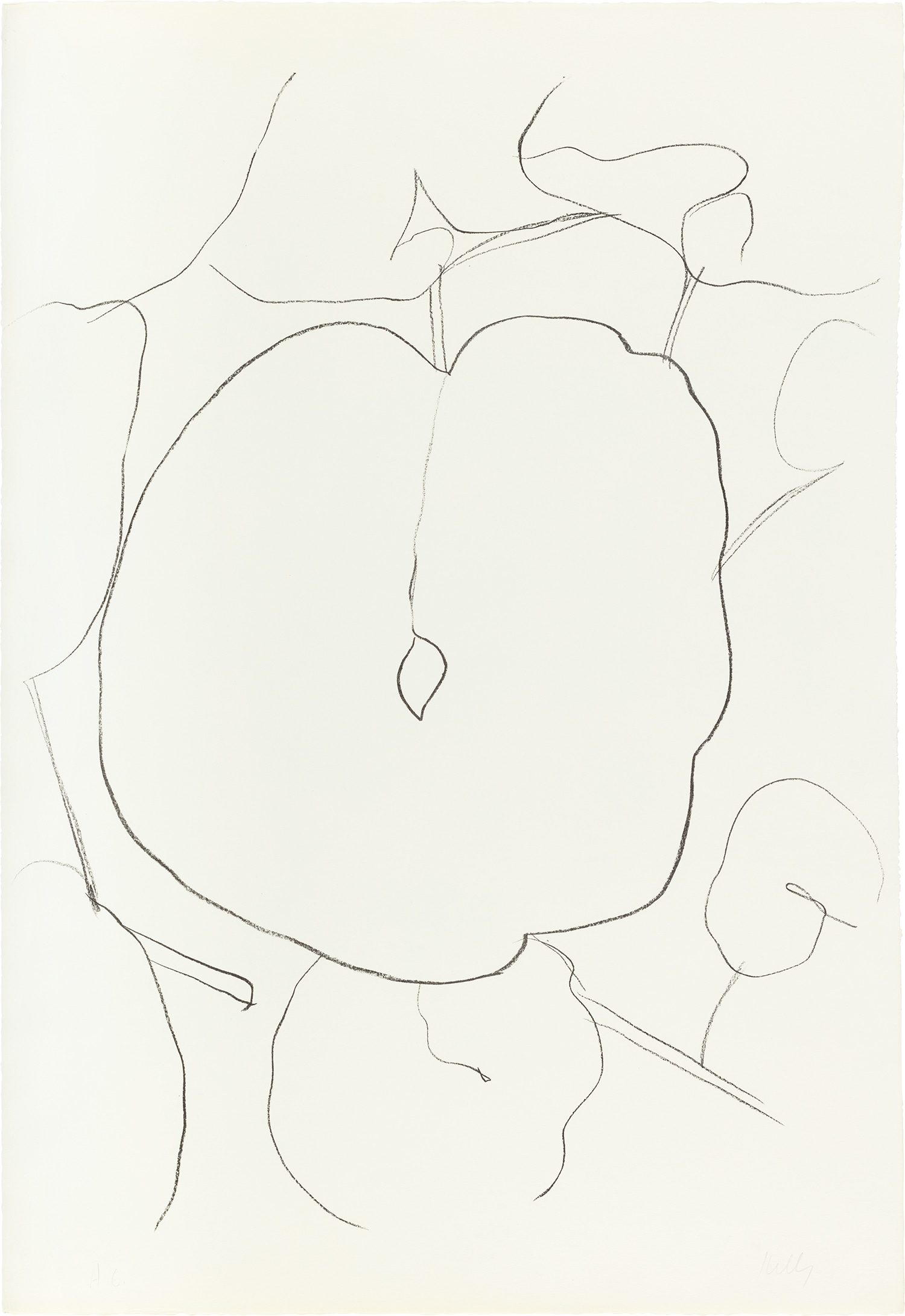 Ellsworth Kelly — Melon Leaf (Feuille de Melon), from Suite of Plant Lithographs (A. 44)
