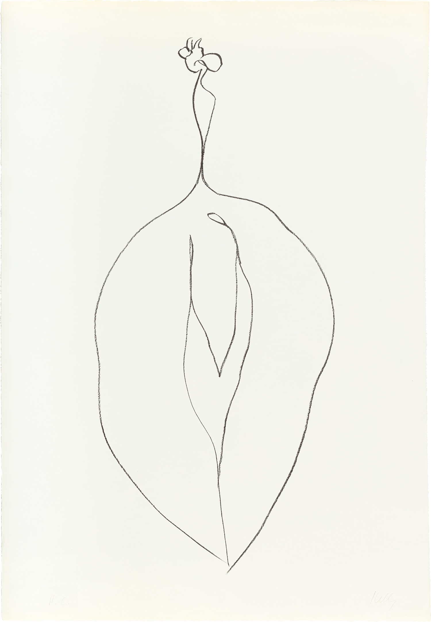 Ellsworth Kelly — Seaweed (Algue), from Suite of Plant Lithographs (A. 53)