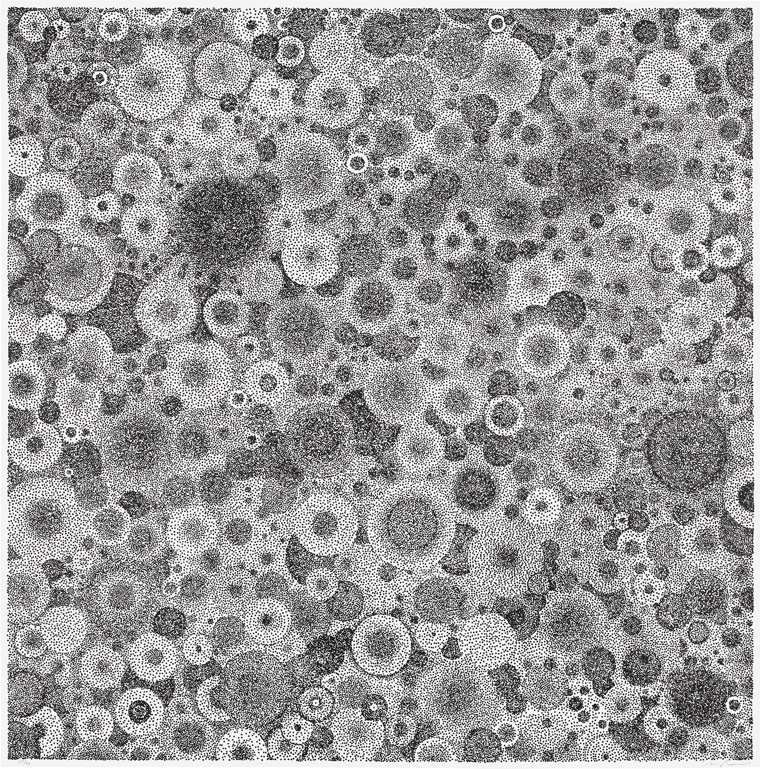 Tara Donovan — Tara Donovan