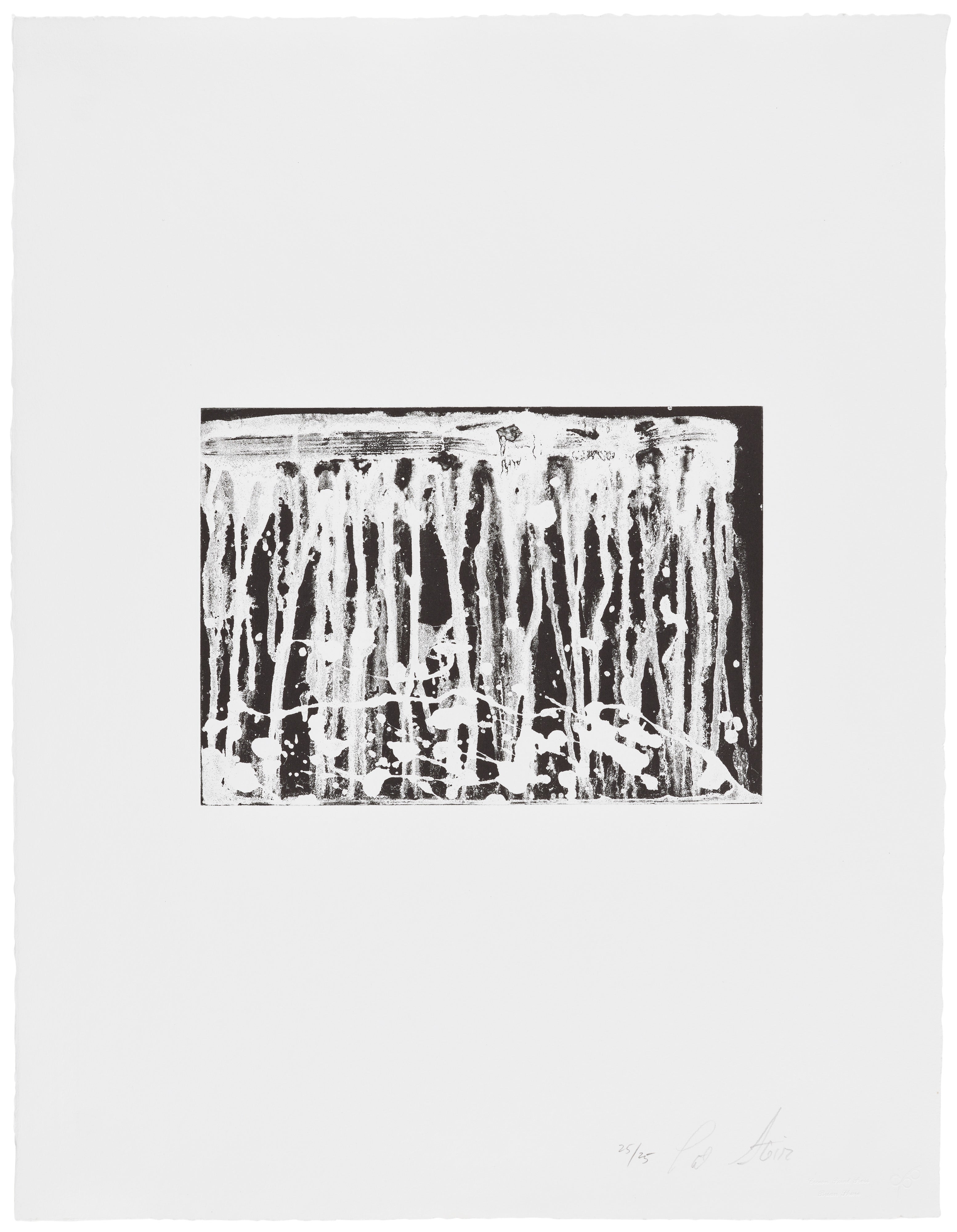 Pat Steir — Small Horizontal Falls