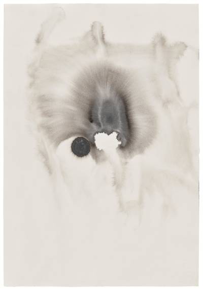 Surprise into the dark matter and sister