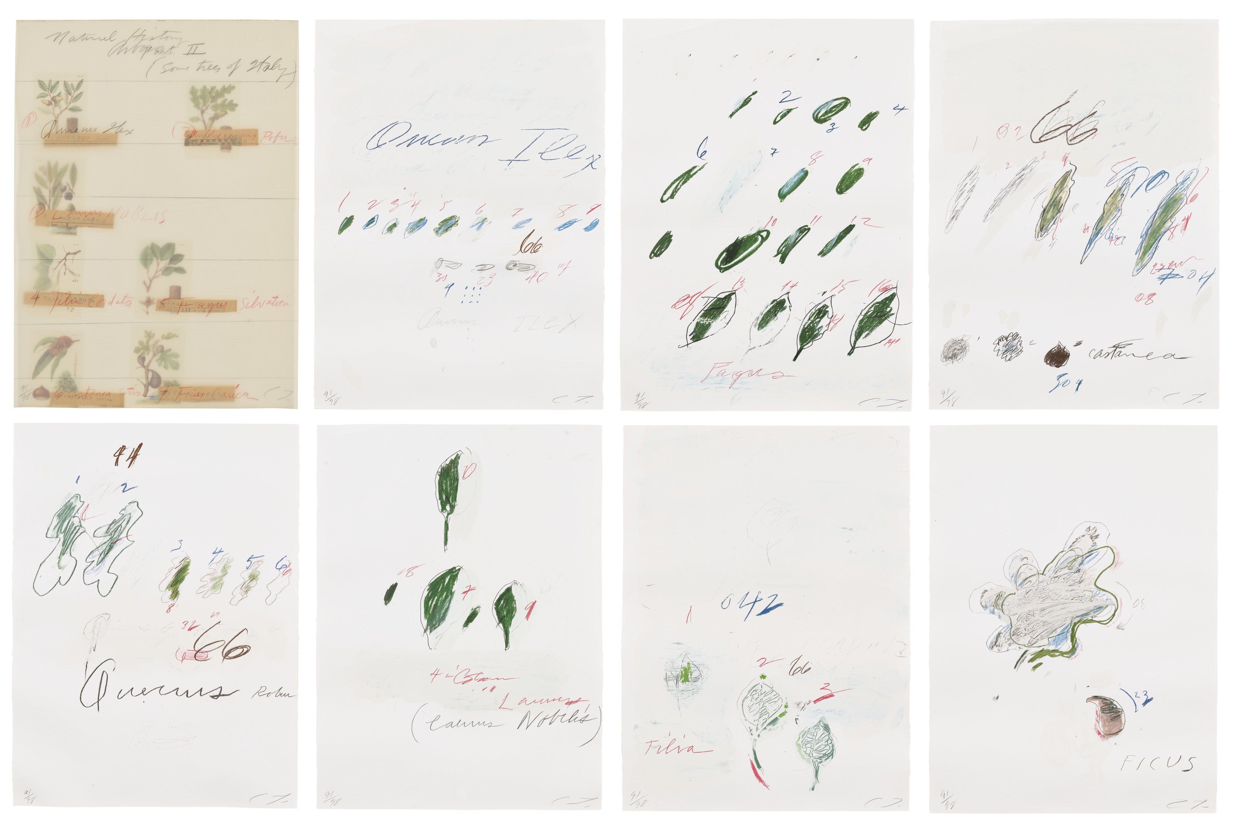 Natural History Part II: Some Trees of Italy (B. 52-59)