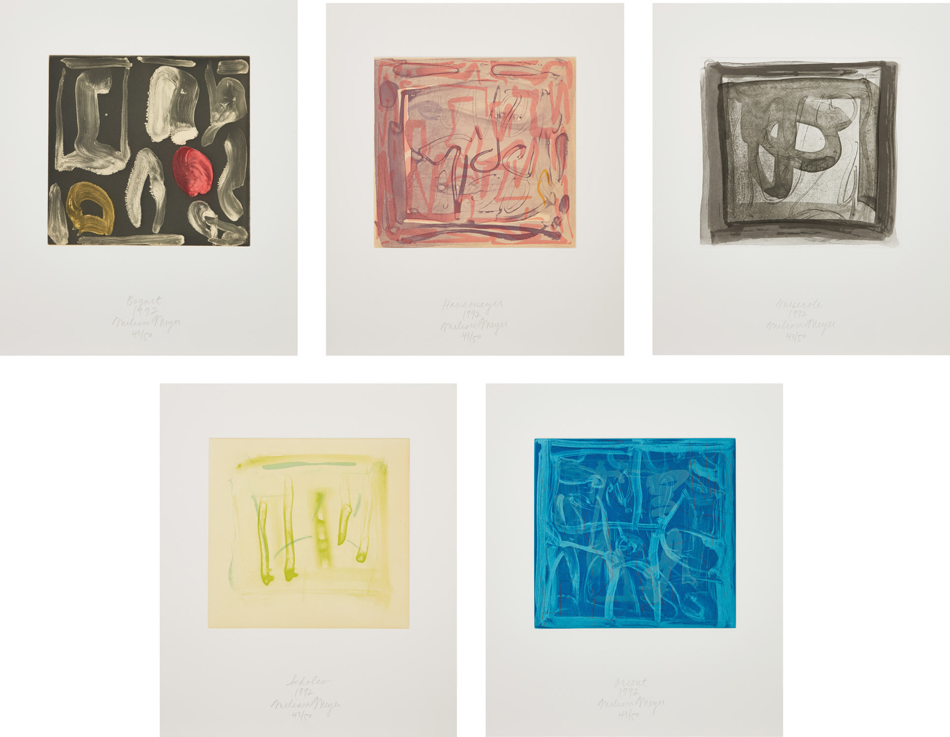 Melissa Meyer — Survey Suite I