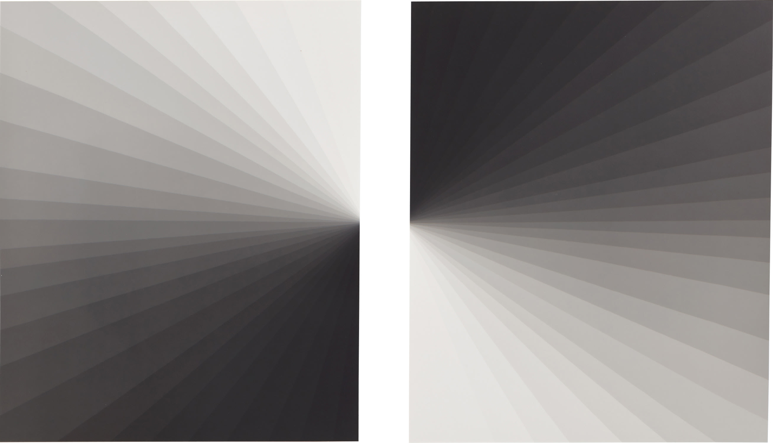 Talia Chetrit — Grayscale (diptych)