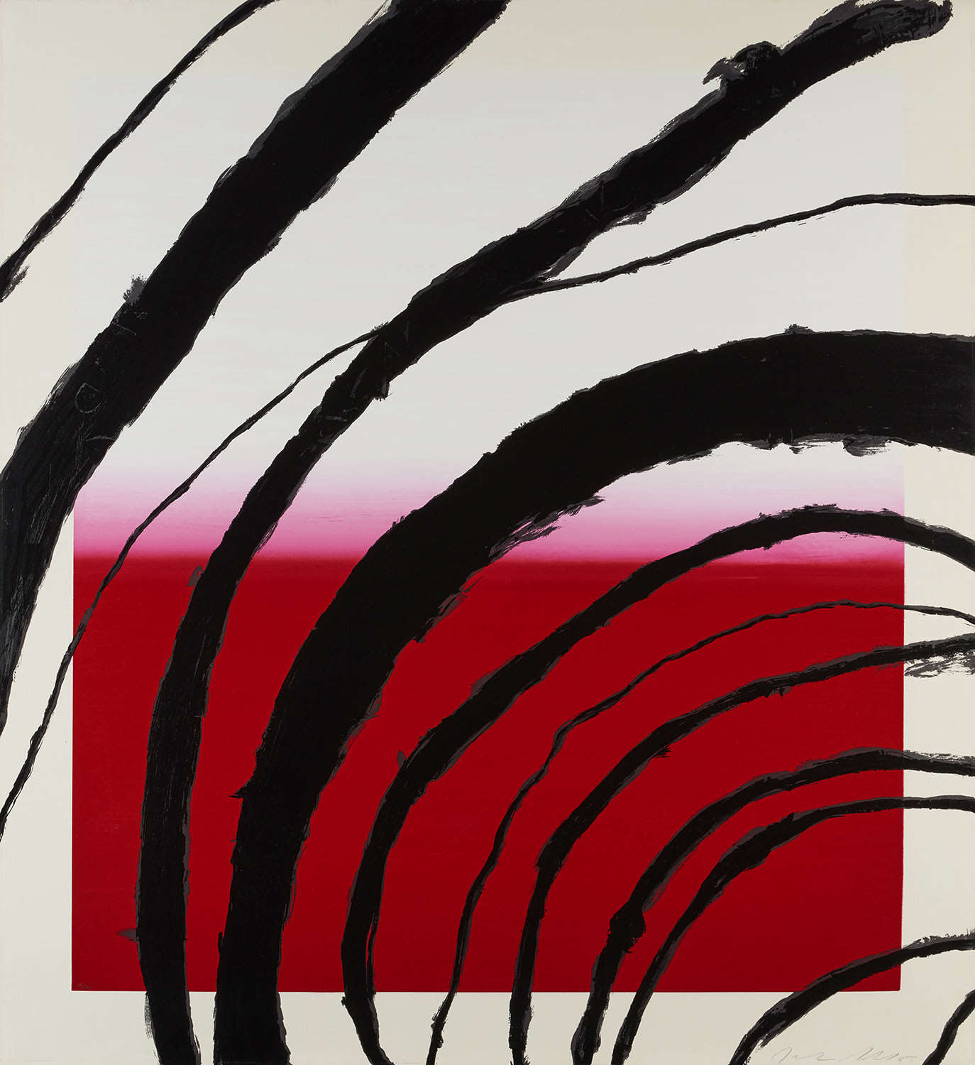 Last Attempt at Attracting Butterflies II