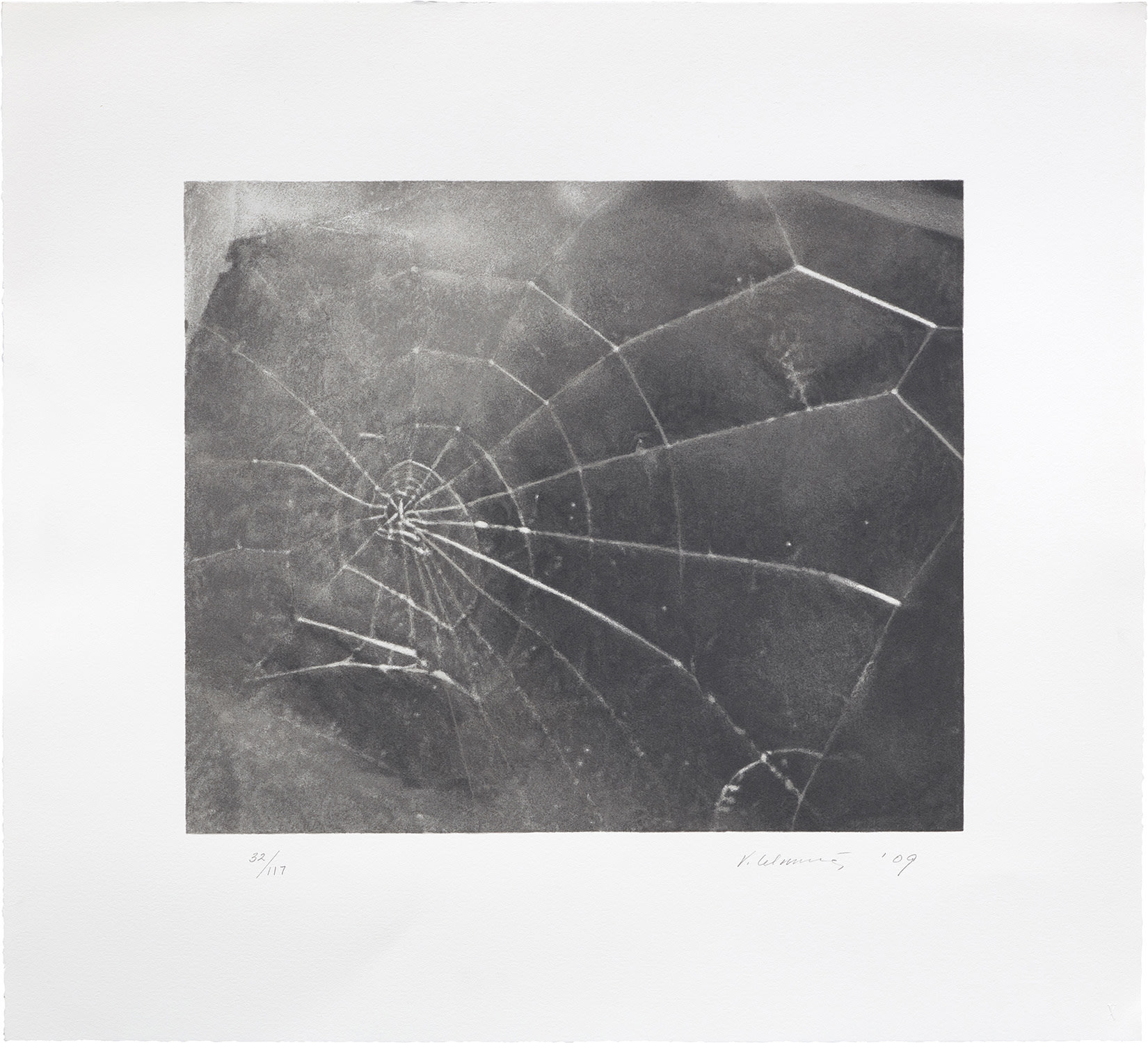 Vija Celmins — Spiderweb (R. p. 210)