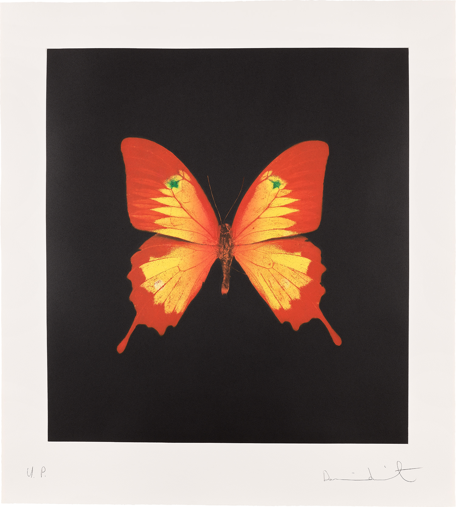 Damien Hirst — Red, Yellow Swallowtail and green spots