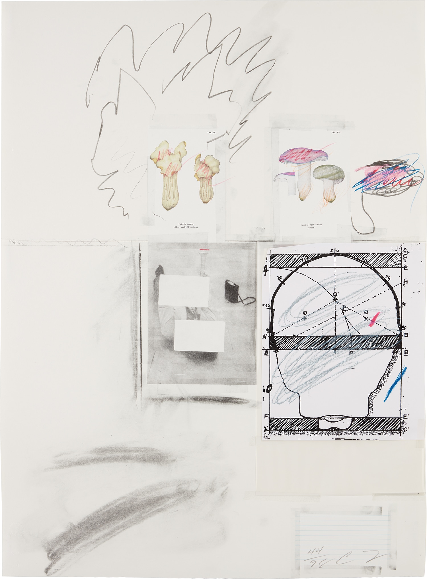 No. II, from Natural History Part I Mushrooms (B. 43)