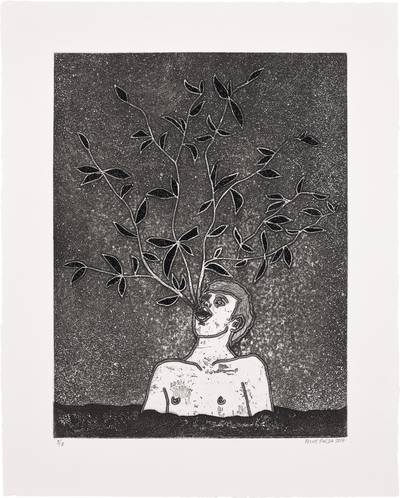 Ahuehuete en La Noche (Ahuehuete at Night)