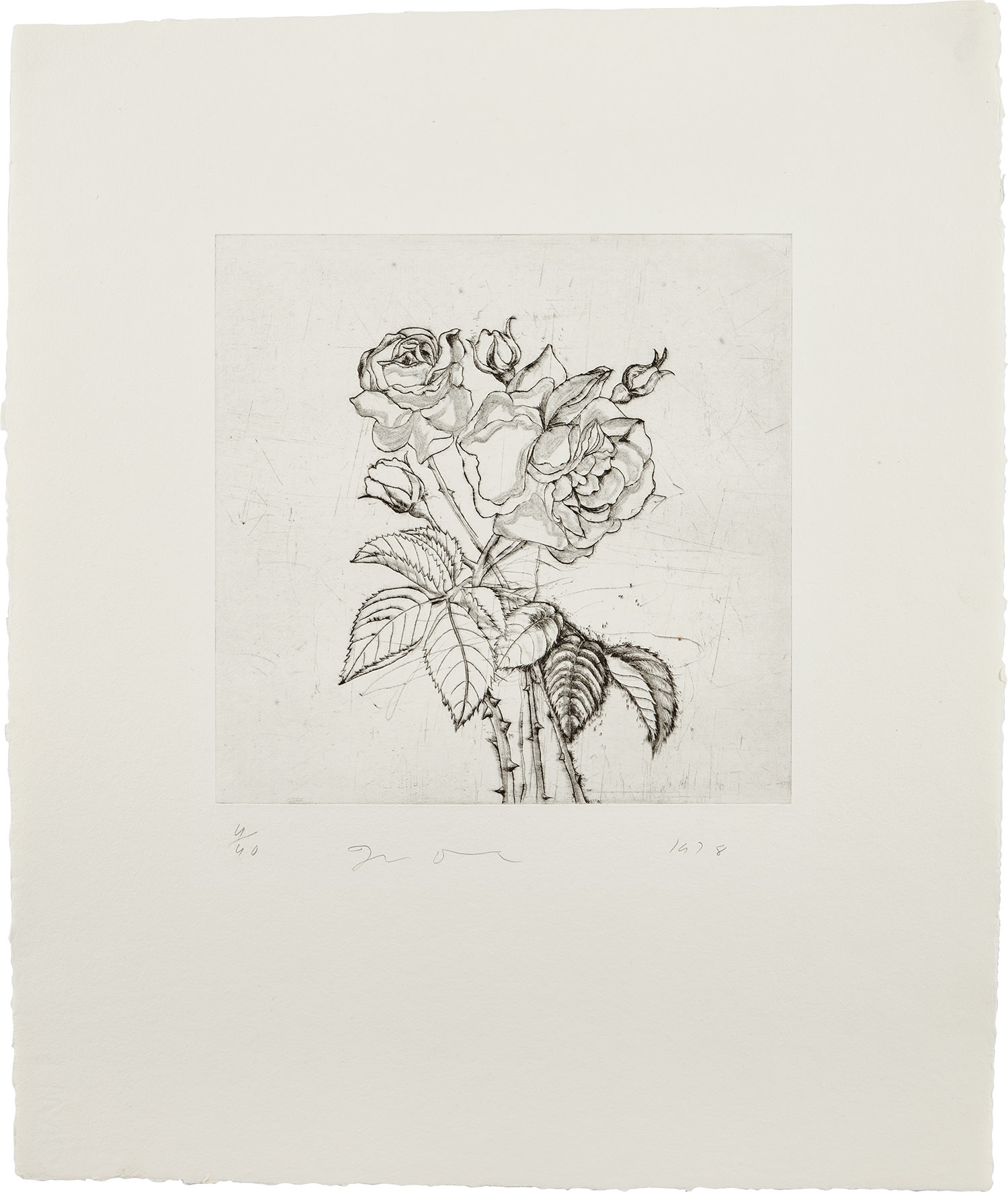 Roses (D'O. & F. 32)