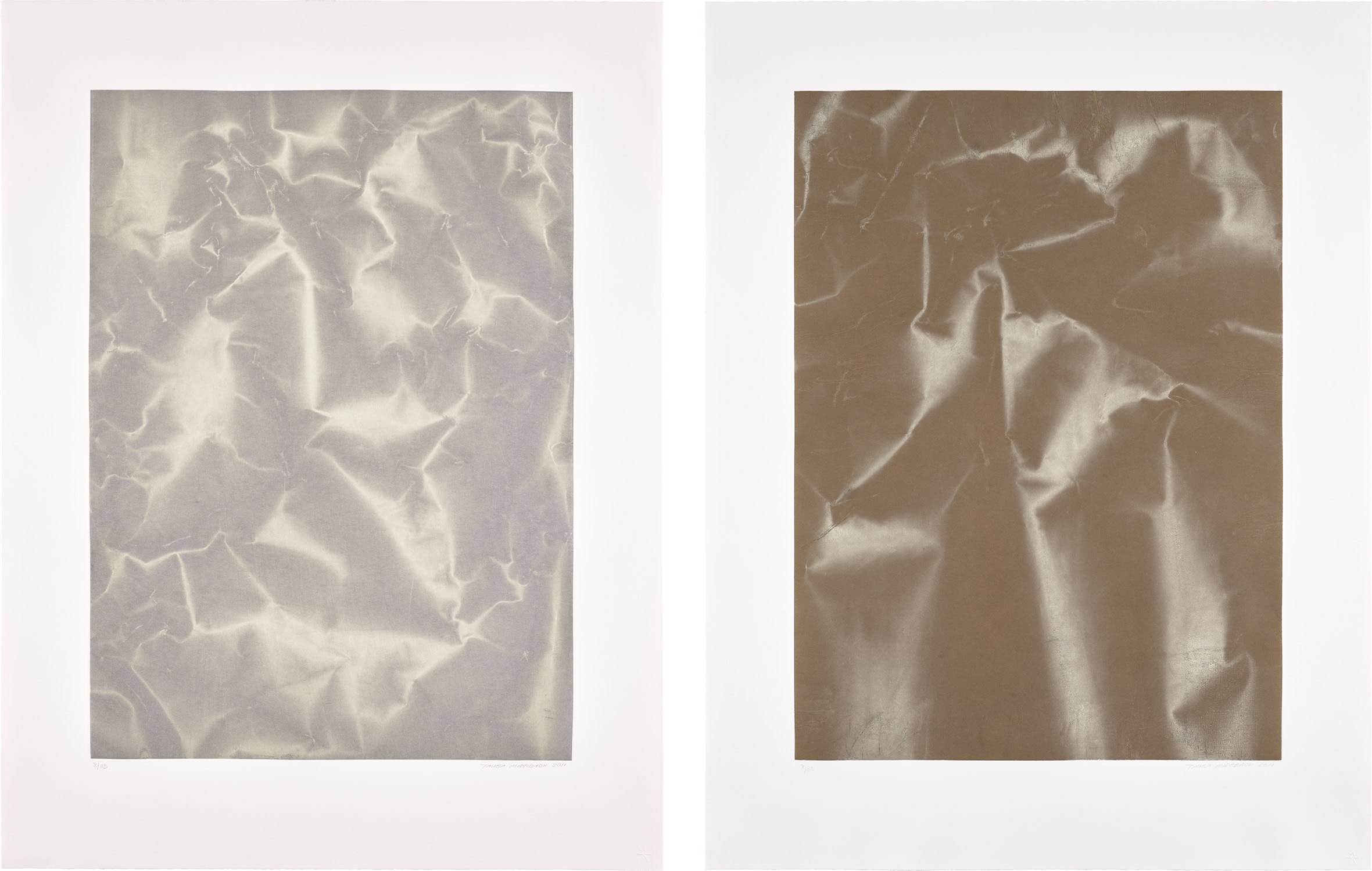 Swan Ladder (P. 40/41)