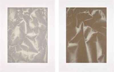 Swan Ladder (P. 40/41)