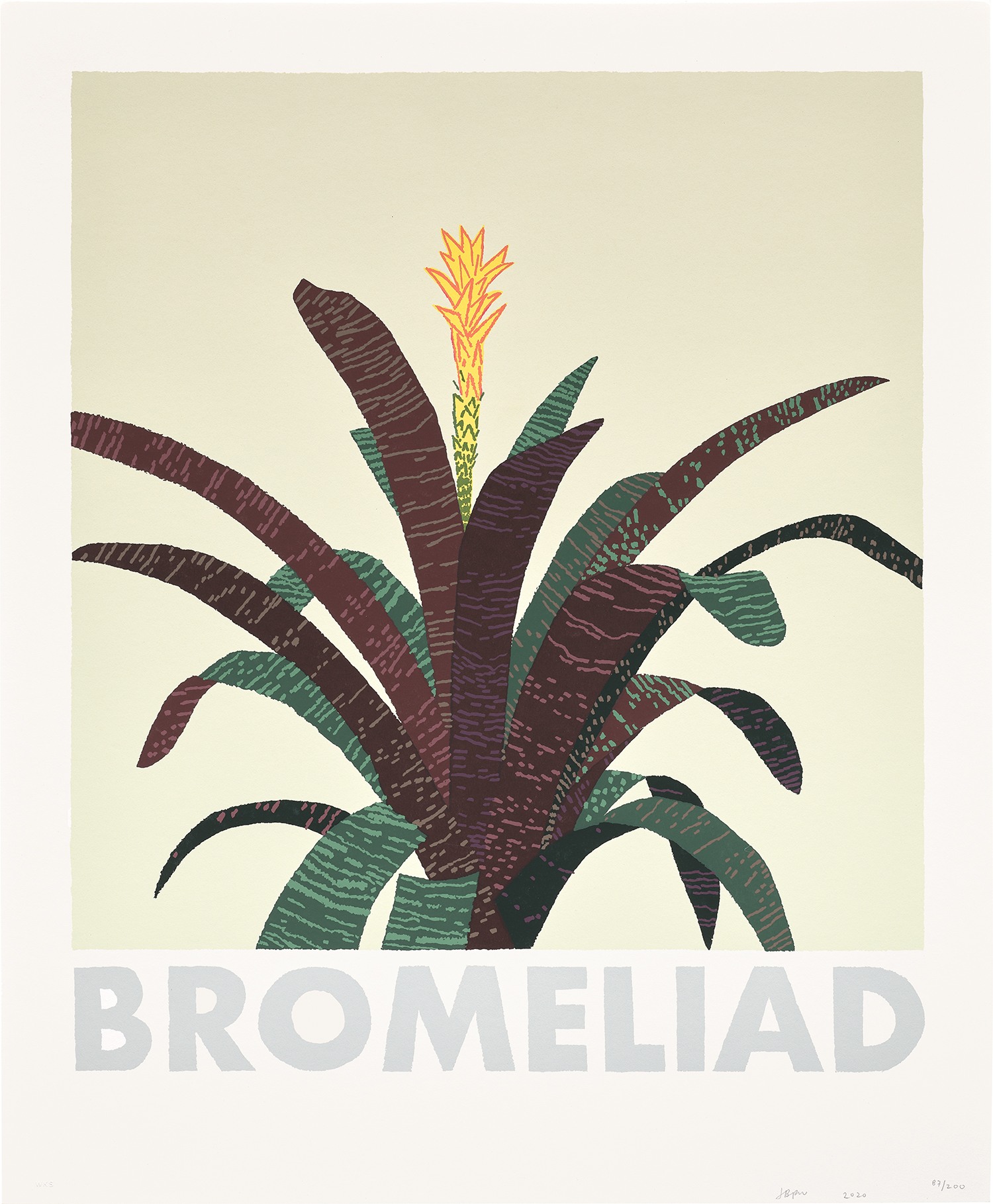 Zero Dollar: two prints