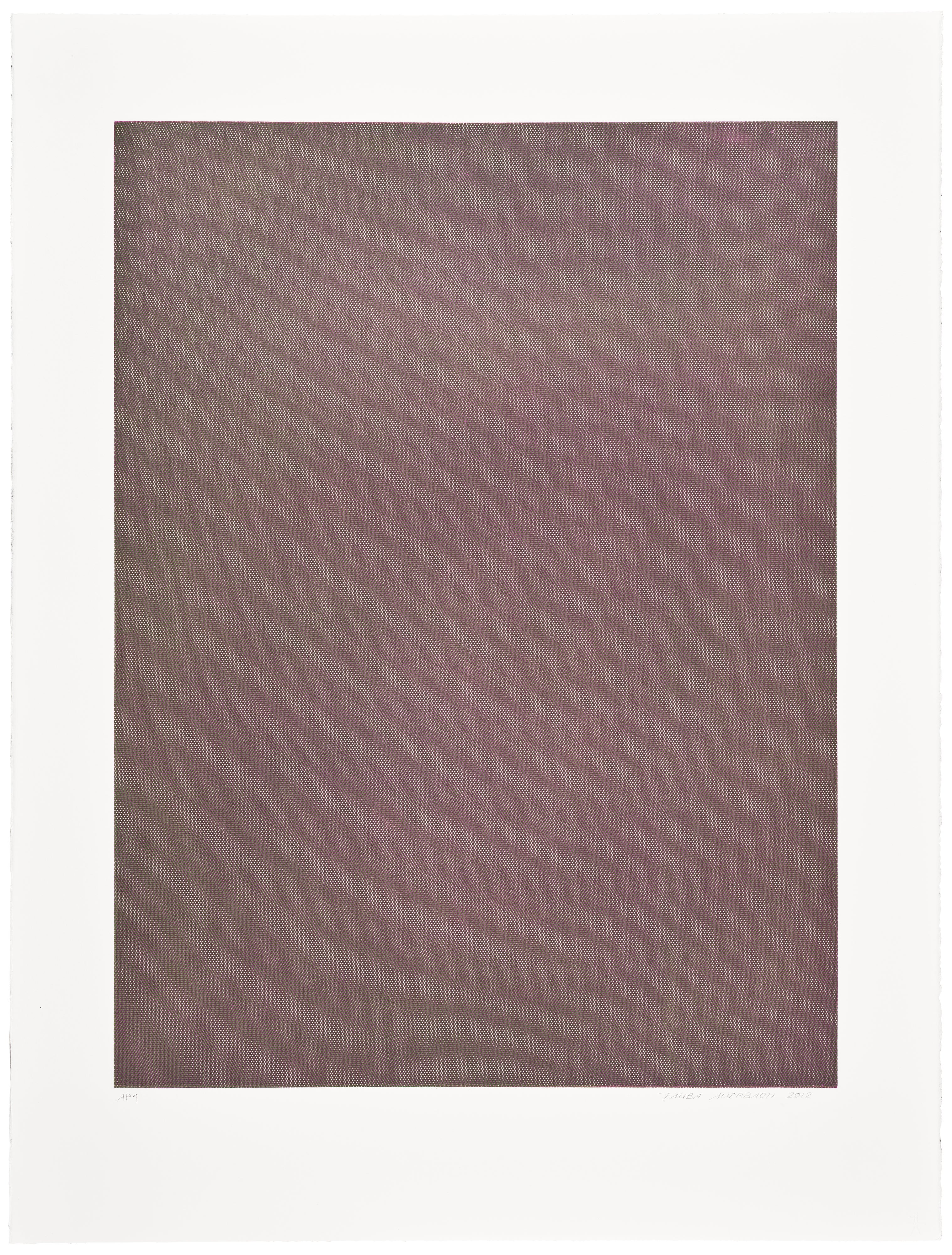 Tauba Auerbach — Mesh Moire V