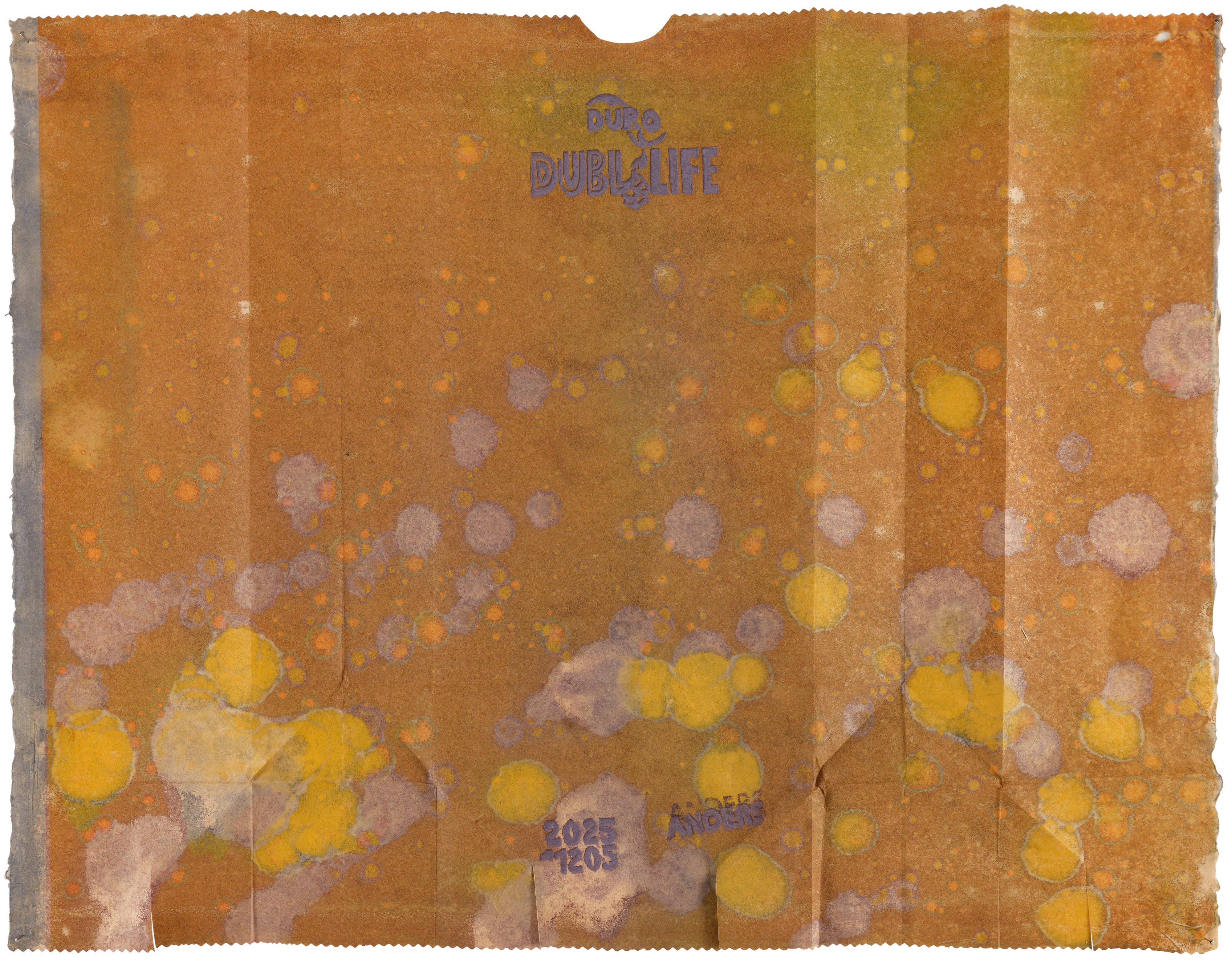 Anders Bergstrom — Double Life, January 7