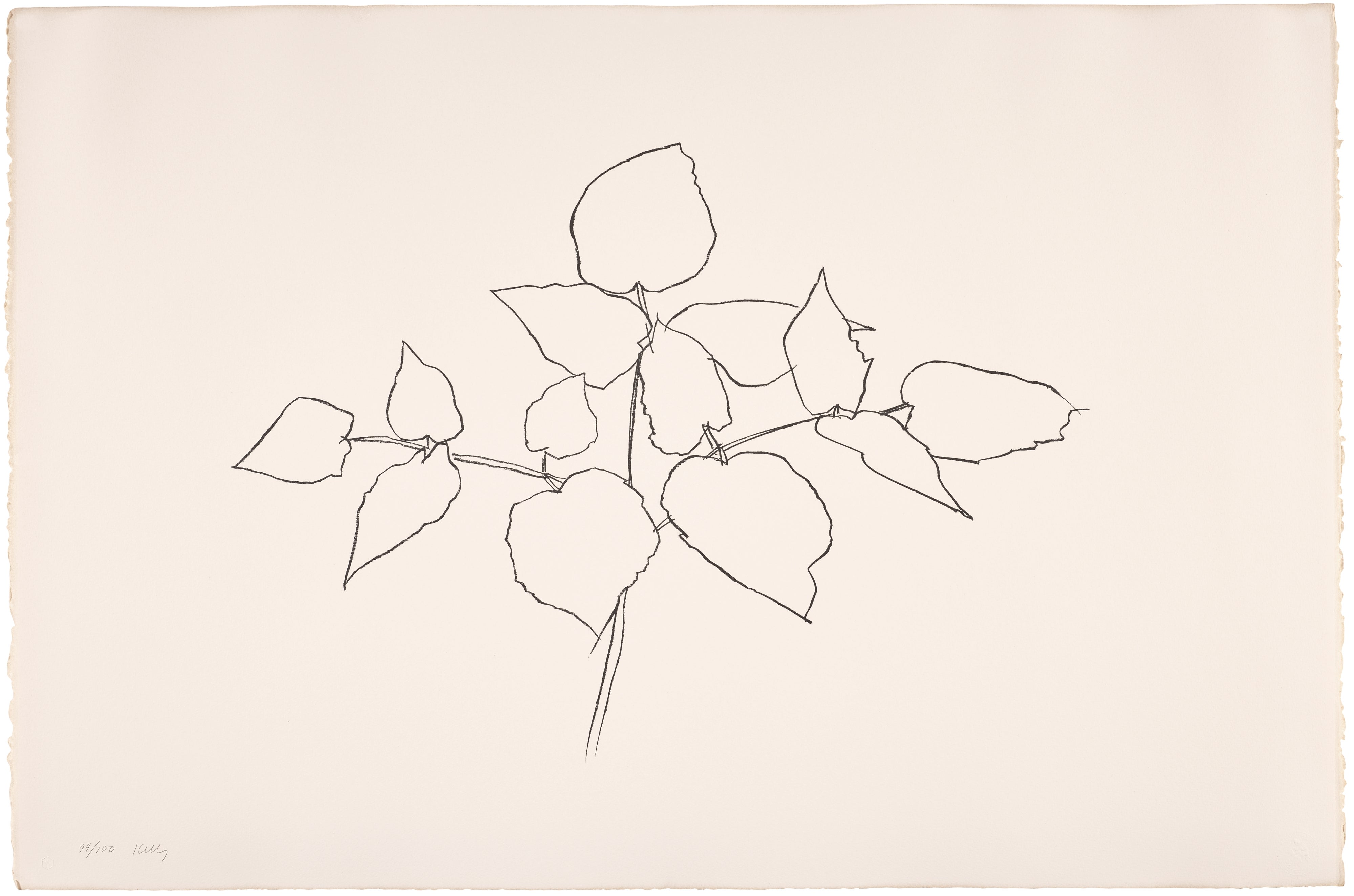 Ellsworth Kelly — Woodland Plant (T. 323, A. 178)