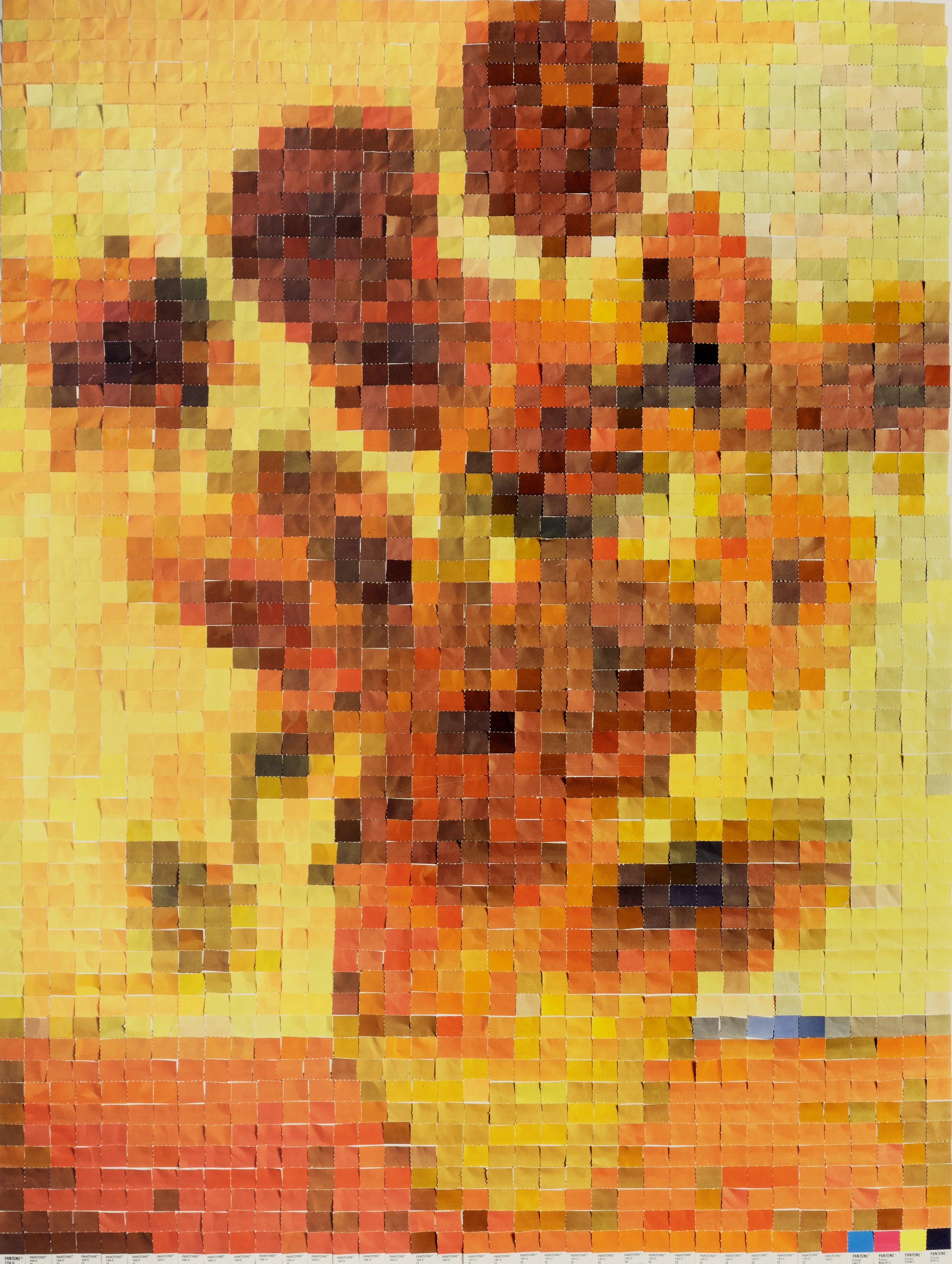Vik Muniz — Sunflowers (after Van Gogh), from Pictures of Color
