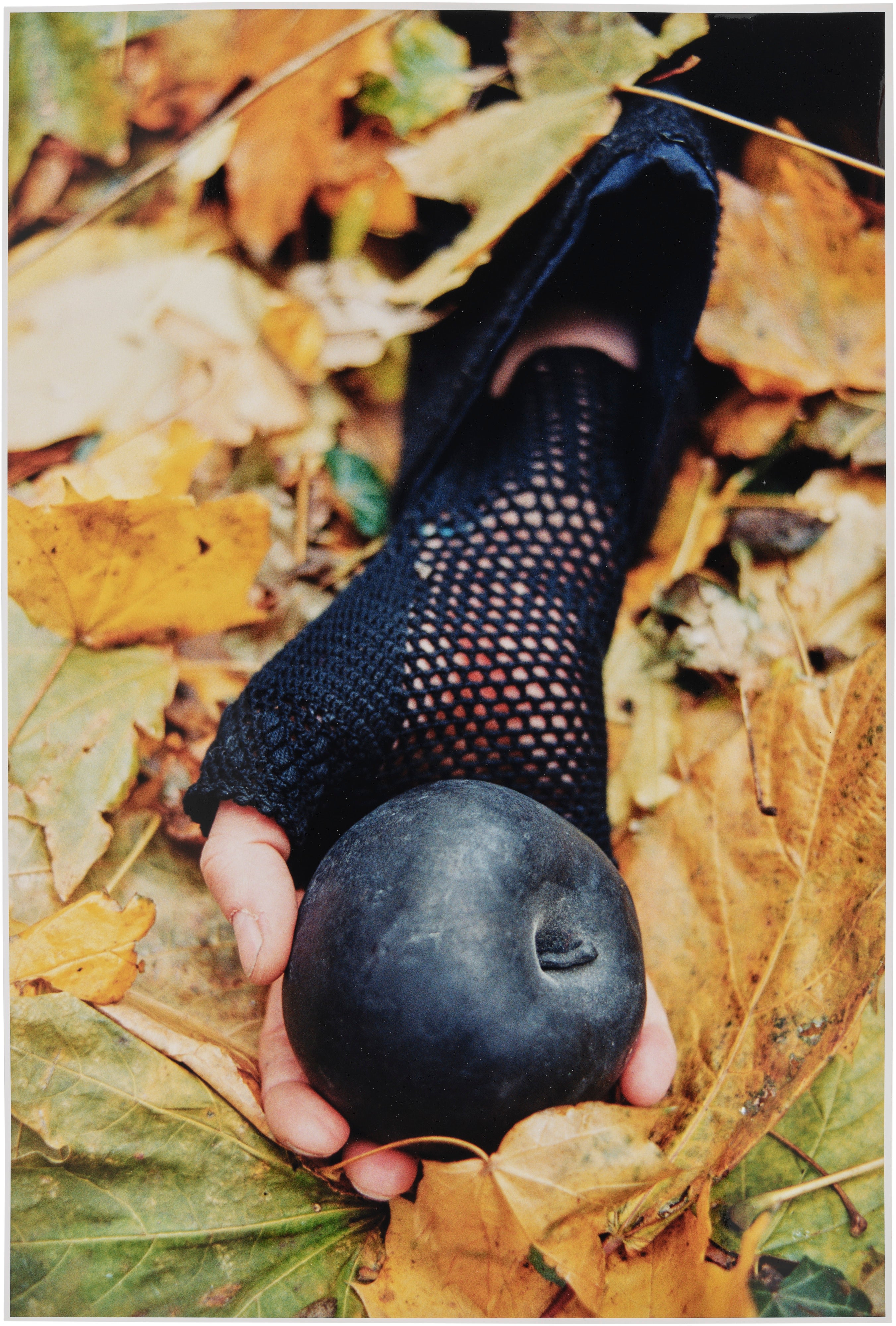 Kiki Smith — Sleeping Witch: one plate