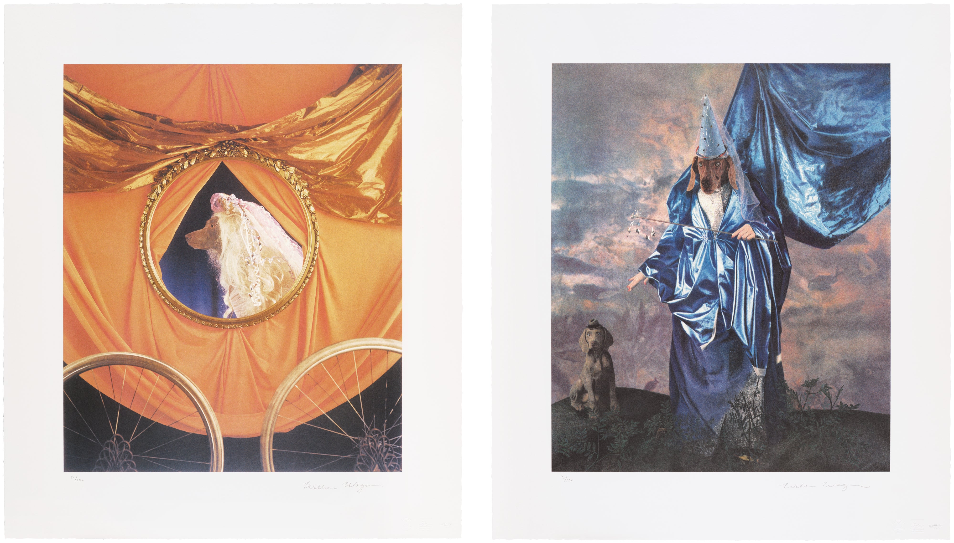 William Wegman — Cinderella: two plates