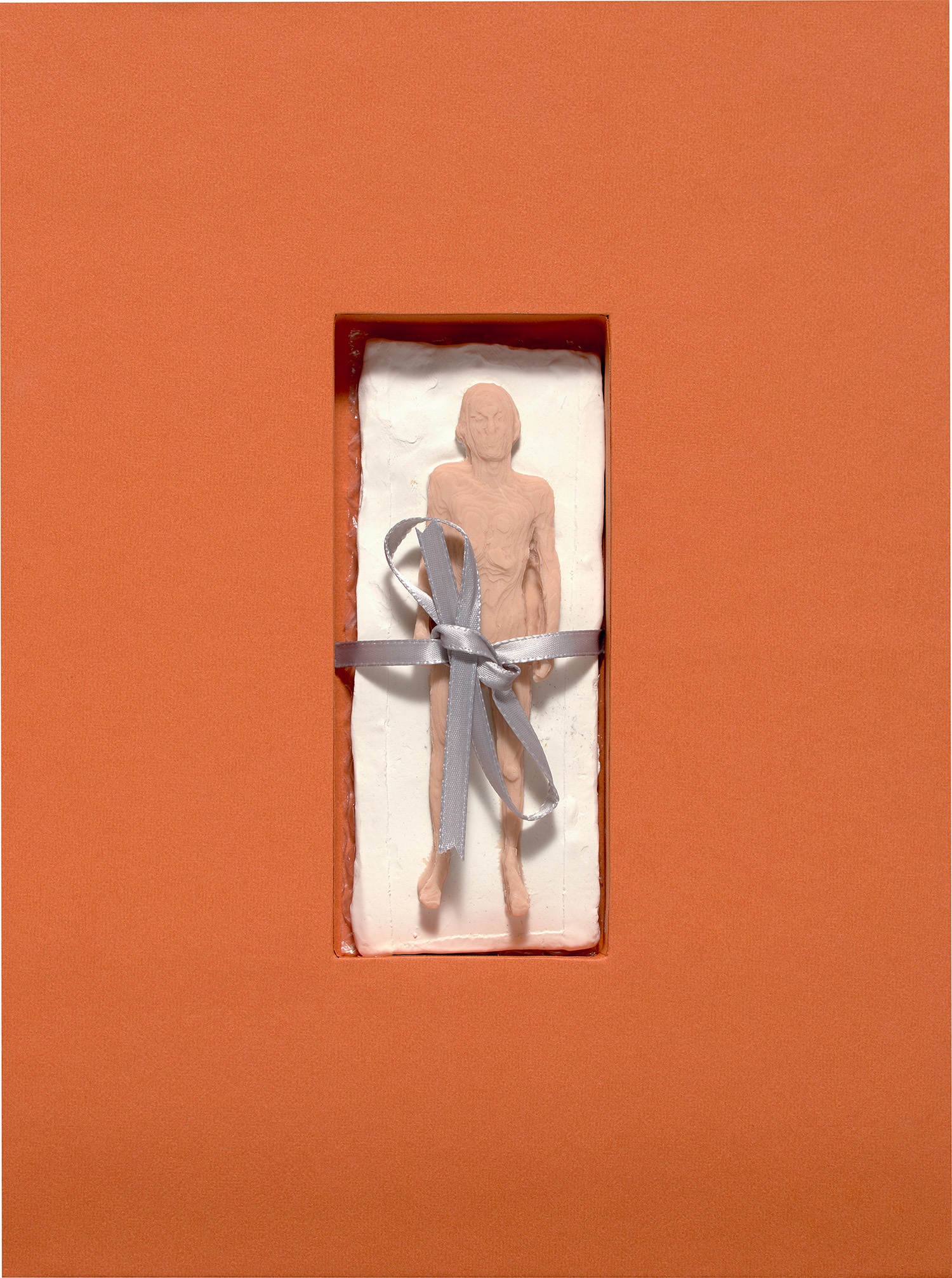 Tim Hawkinson — Homunculus