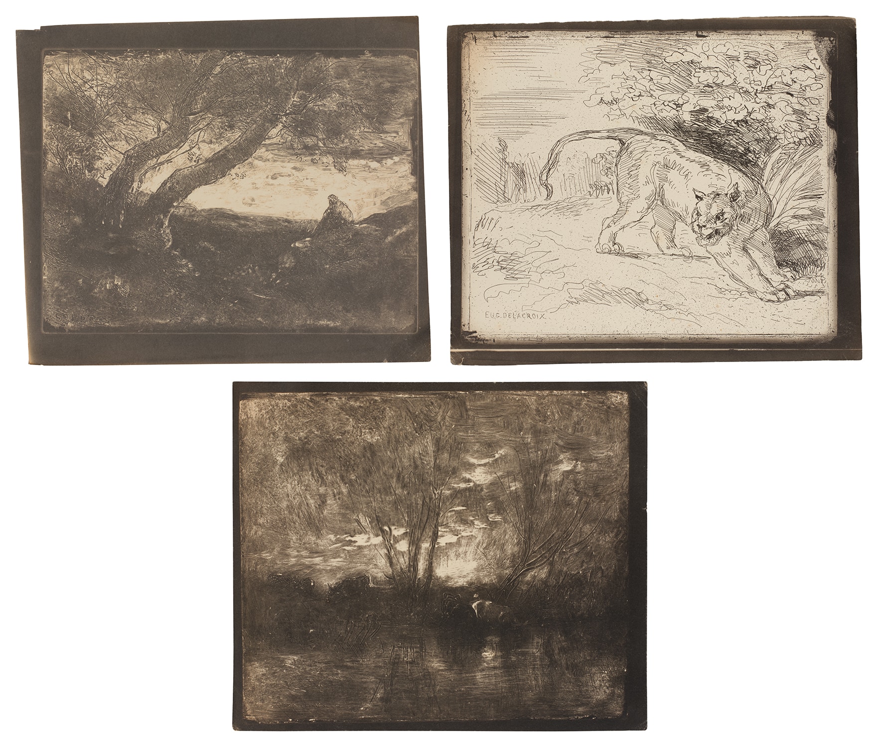 Various Artists — Le Songeur (The Dreamer); Tigre en arrêt (Tiger at a Standstill); and Vaches à l'abreuvoir (Cows at a Watering Trough) (D. 43, 131 & 146, M. 43, 131 & 146)