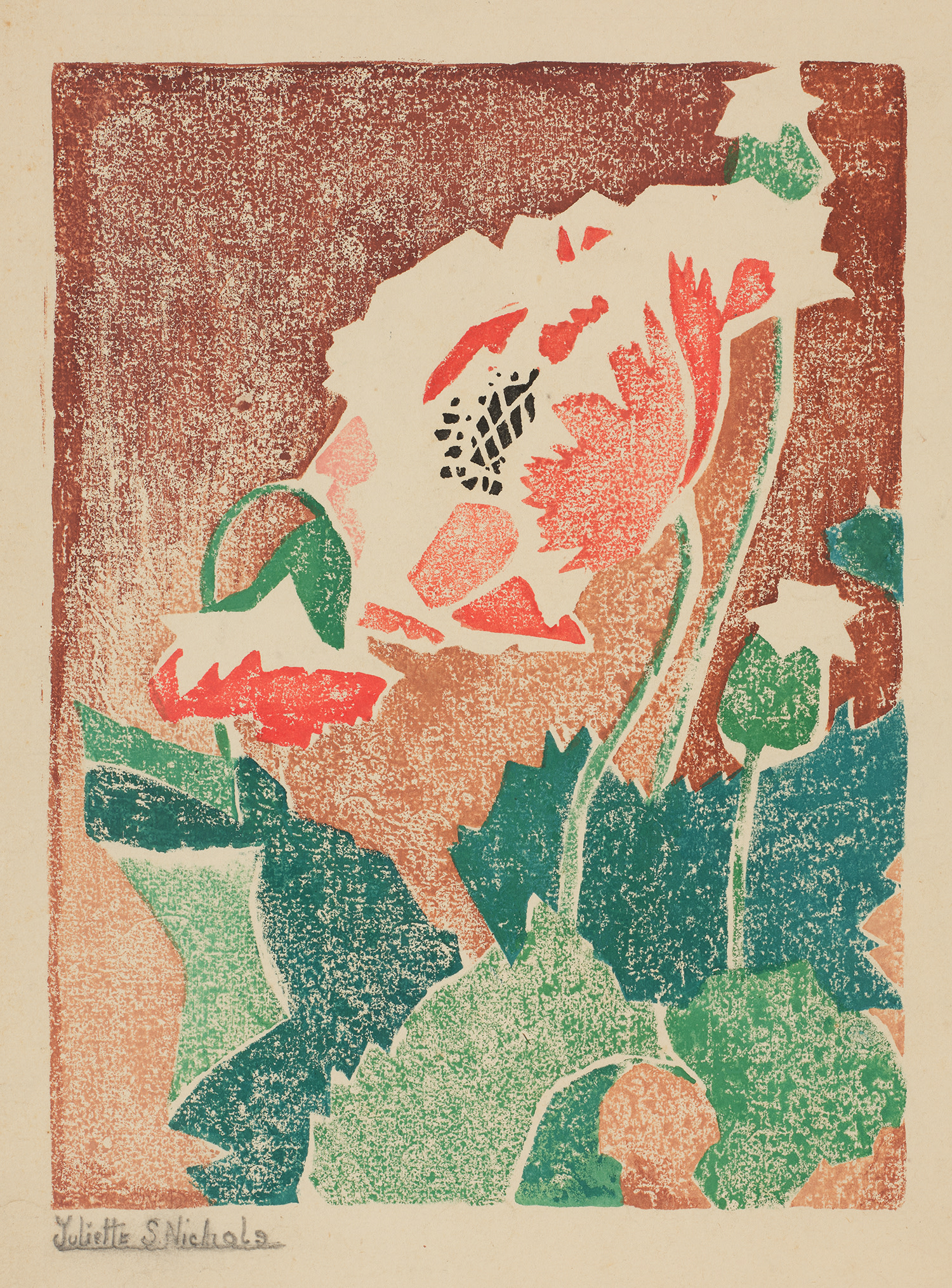 [Red and Green Poppy]