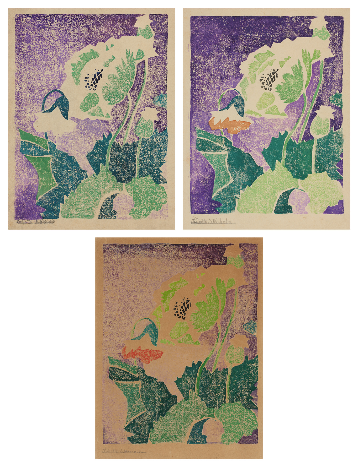 Juliette Nichols — [Green and Purple Poppy]