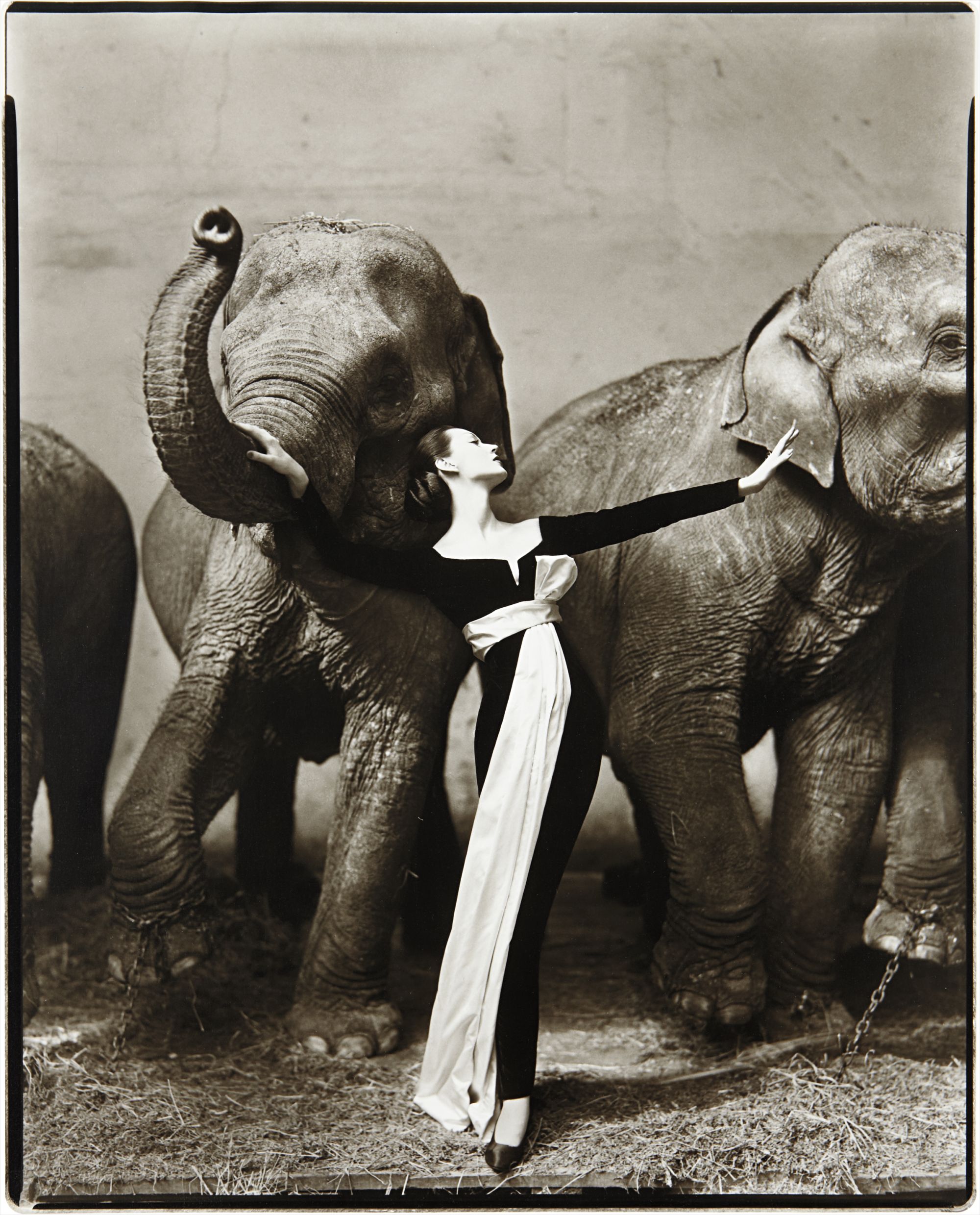 Richard Avedon — Dovima with elephants, Evening dress by Dior, Cirque d'Hiver, Paris, August