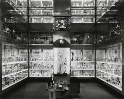 Crystal Palace, Hunterian Museum, London, September 25