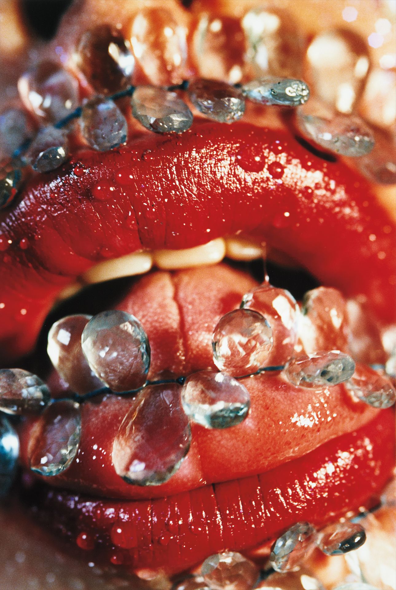 Marilyn Minter — Barbed