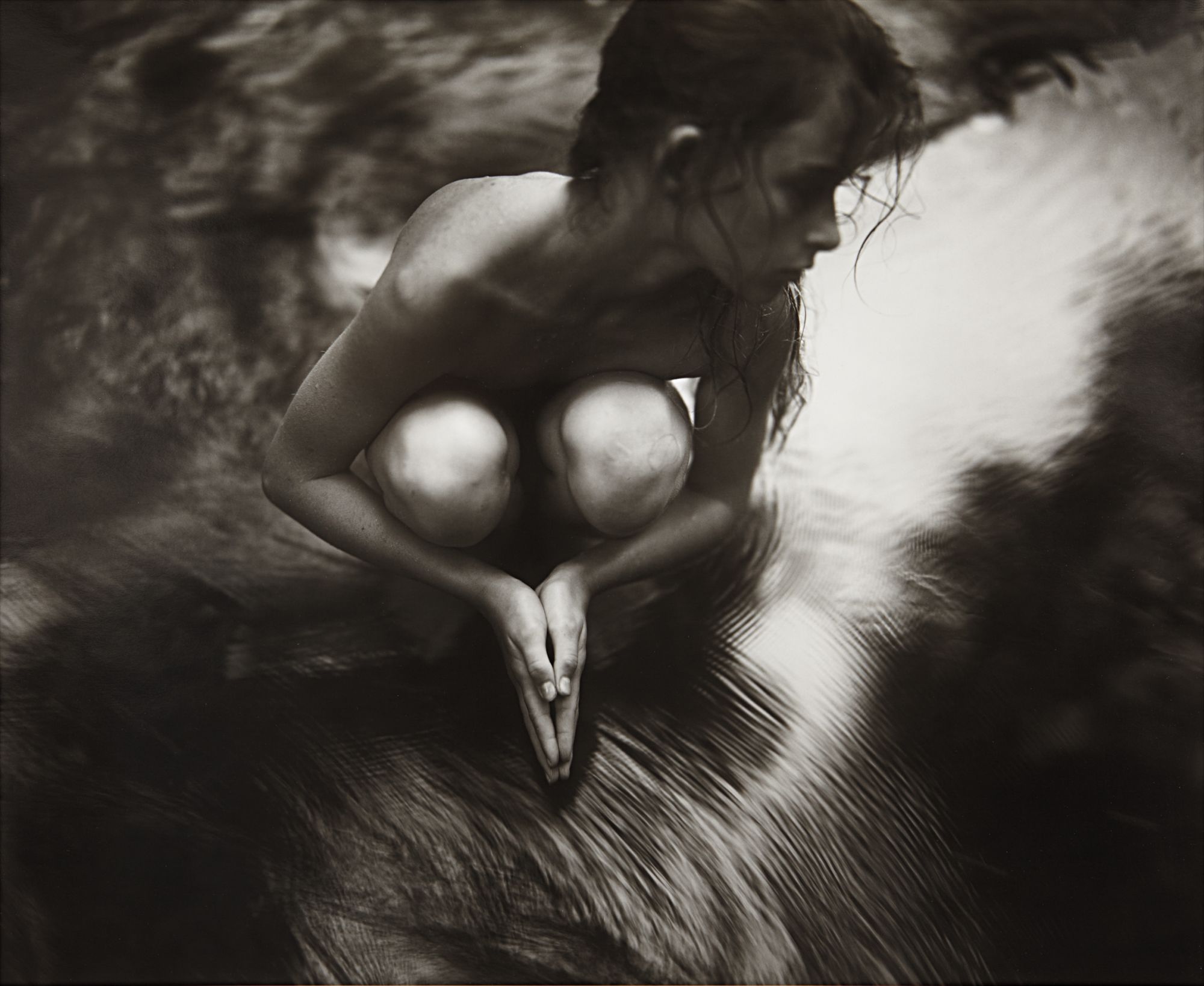 Sally Mann — Shiva at Whistle Creek