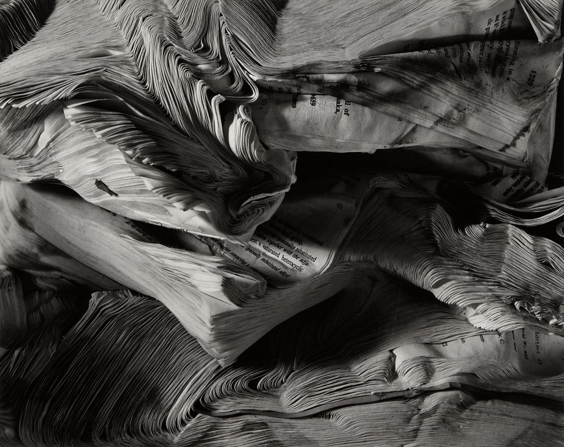 Abelardo Morell — Detail of Book Damaged by Water