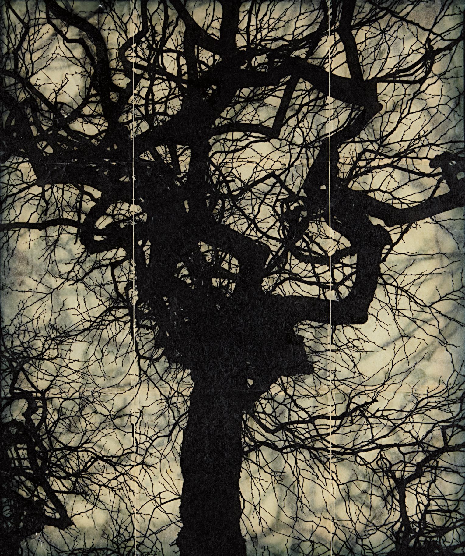 Doug Starn and Mike Starn — Structure of Thought #6