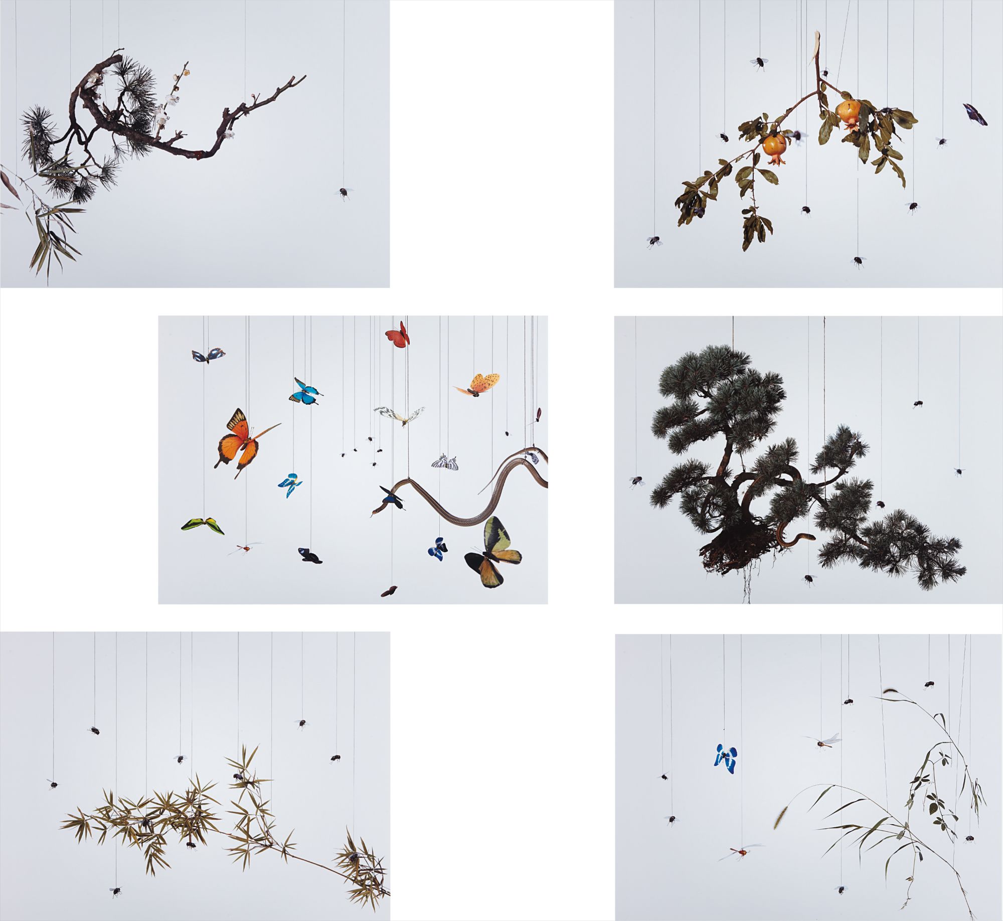 Hong Lei — Speak, Memory