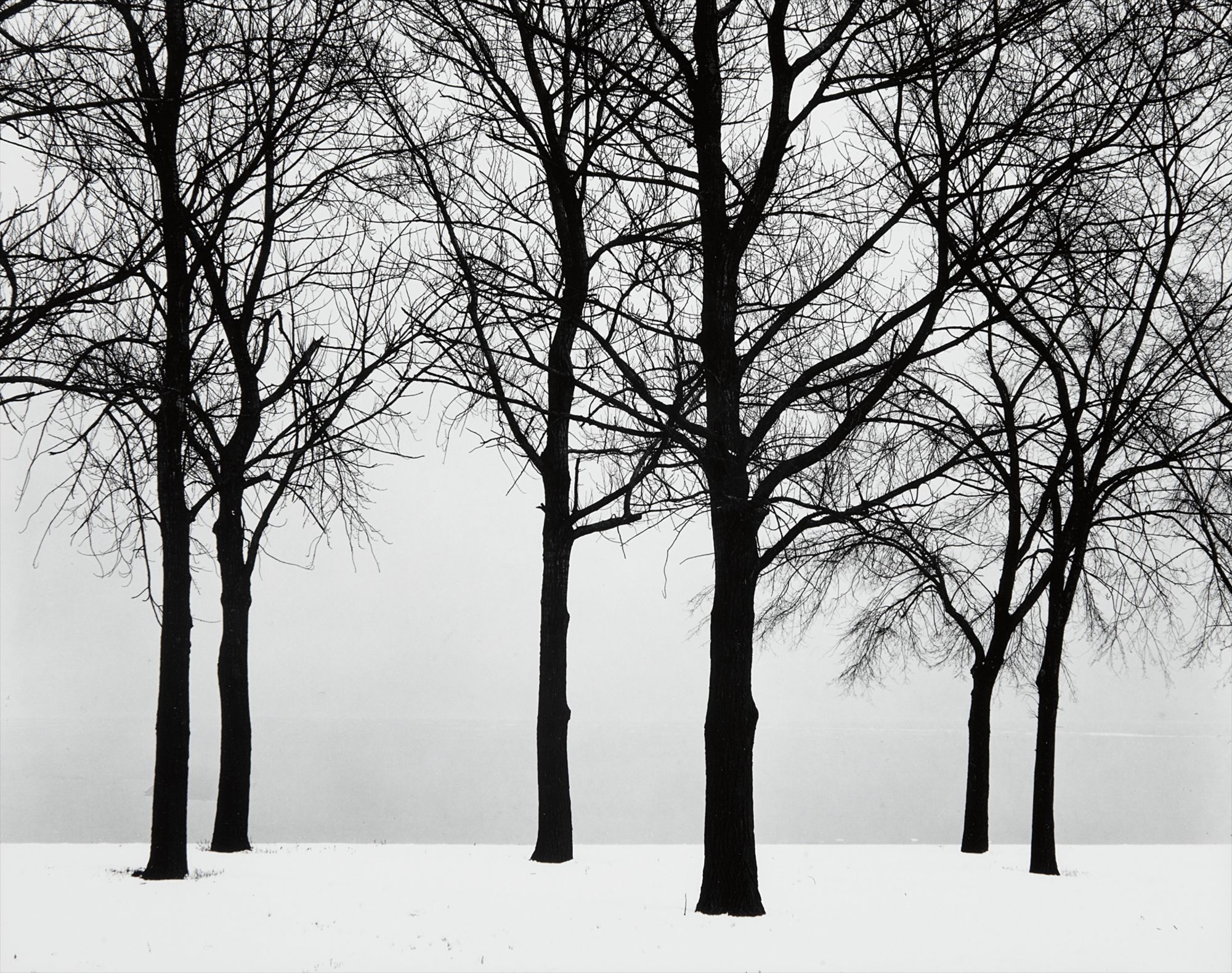 Harry Callahan — Chicago (Trees in Snow)