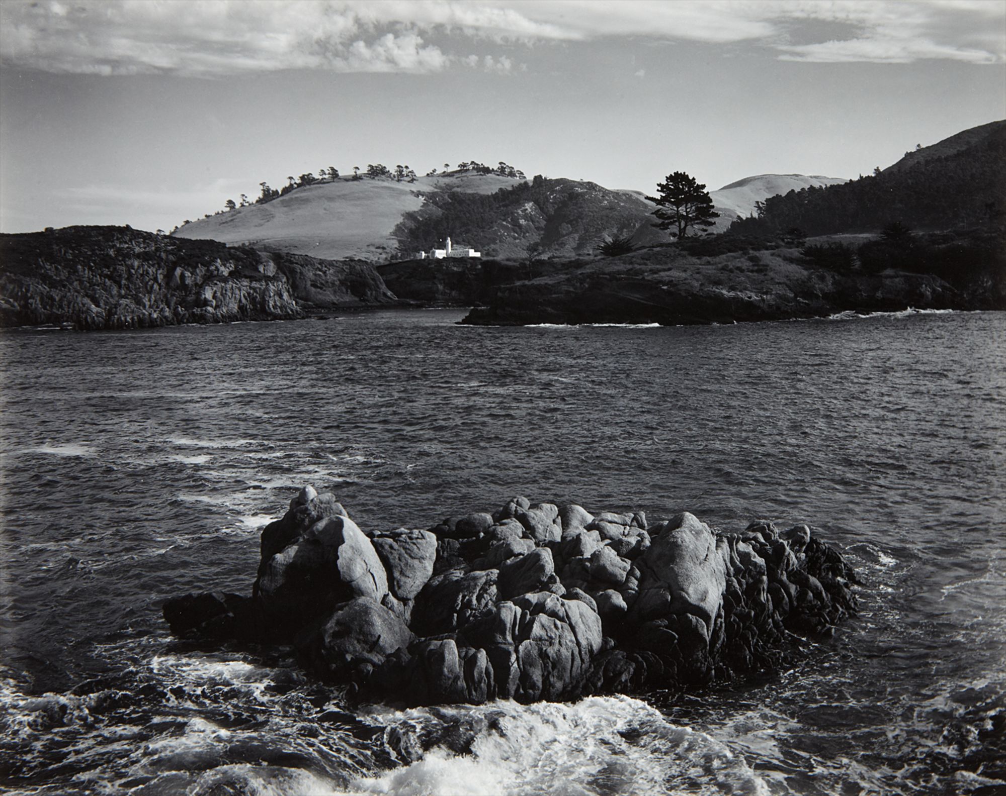 Edward Weston — From Point Lobos
