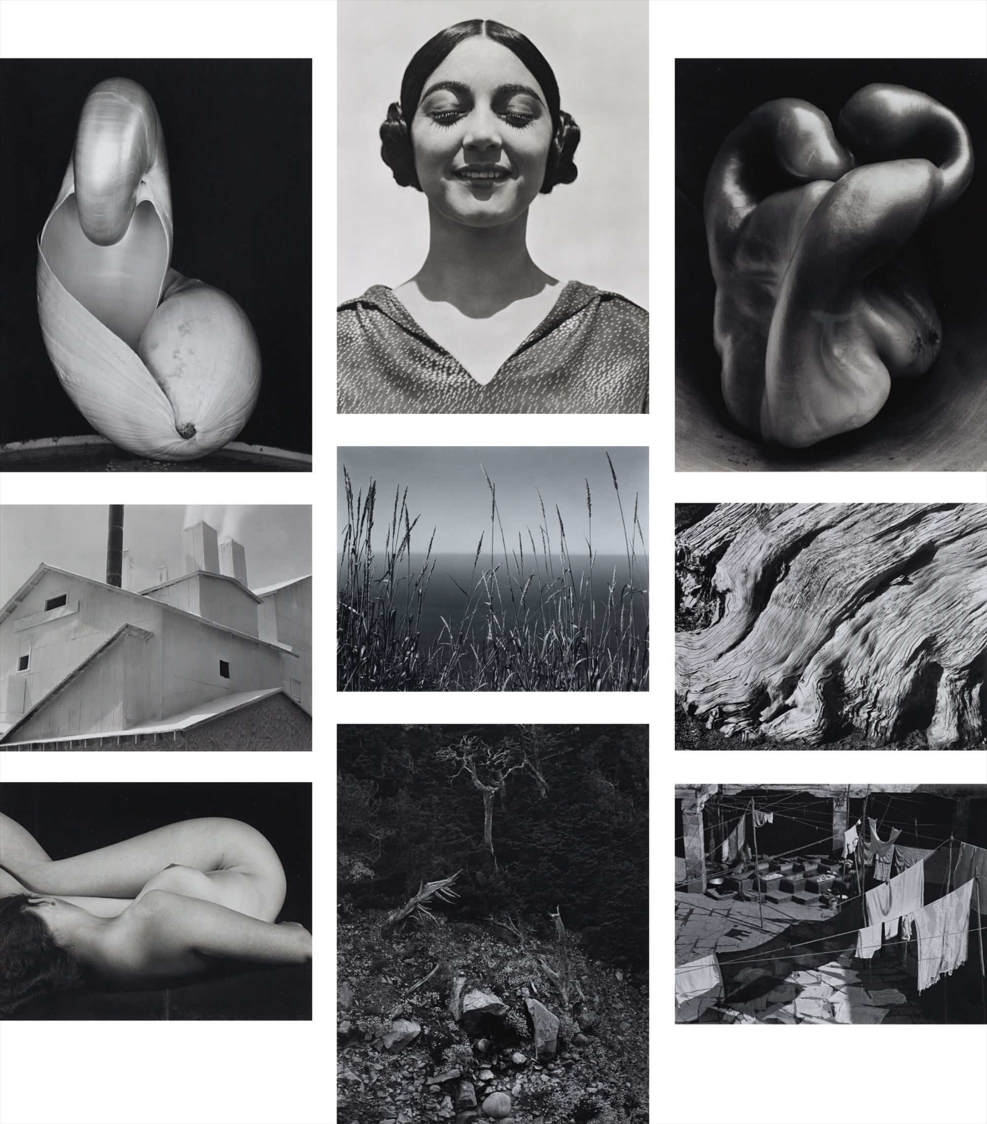 Edward Weston — Edward Weston: Portfolio