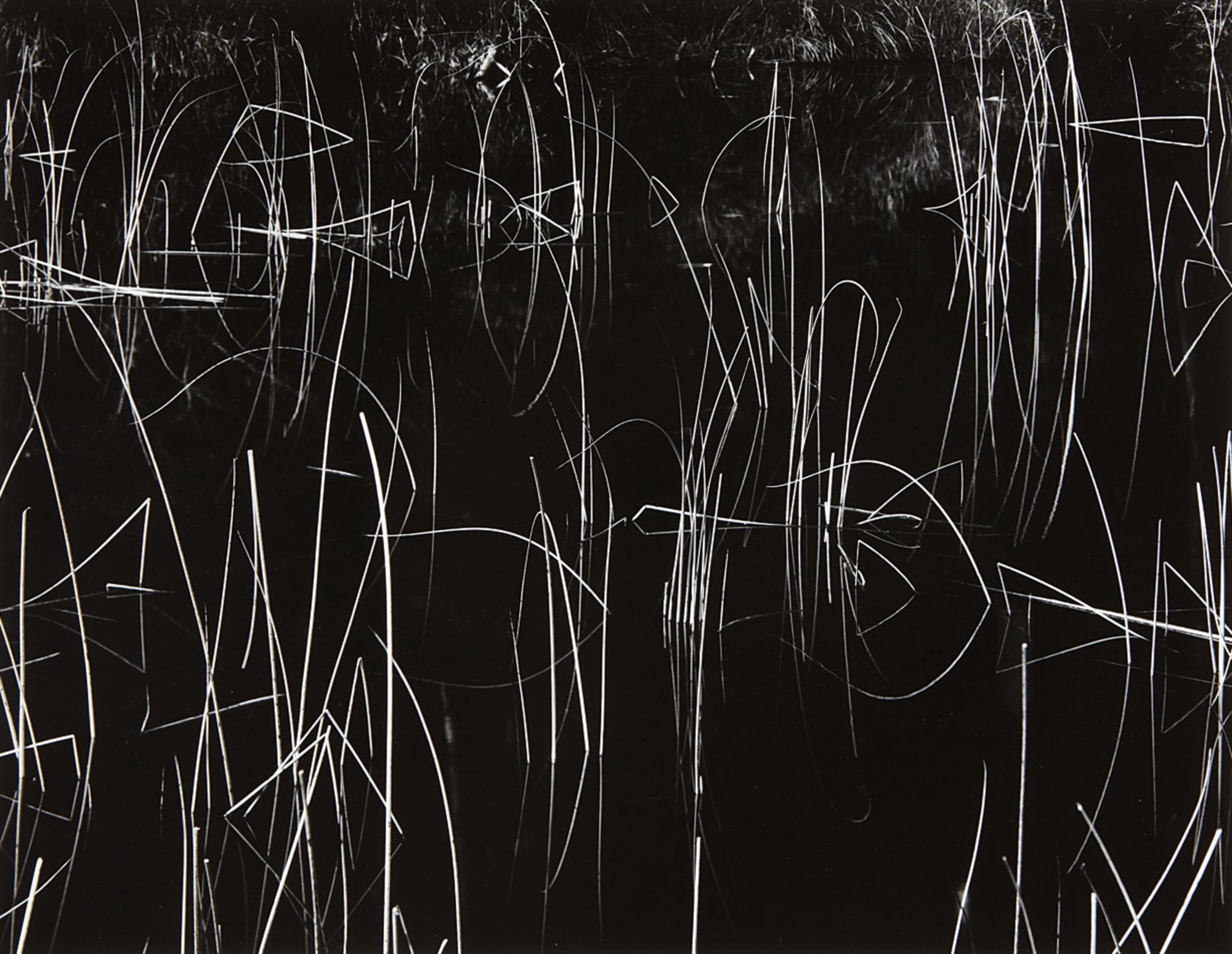 Brett Weston — Reeds, Oregon