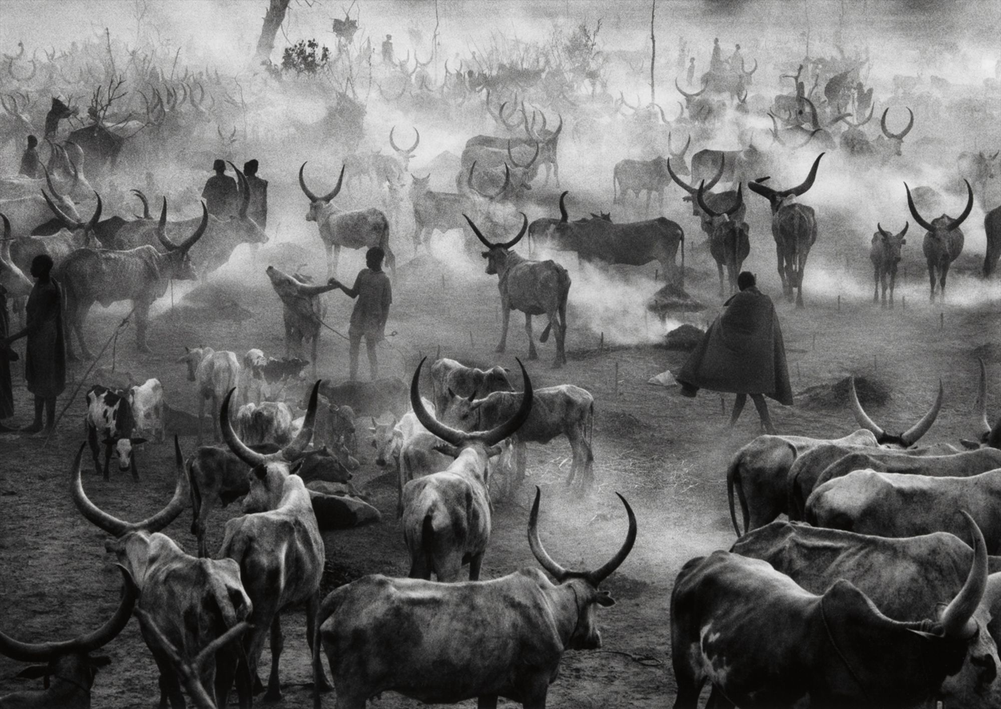 Sebastião Salgado — Dinka Group at Pagarau Cattle Camp, Southern Sudan