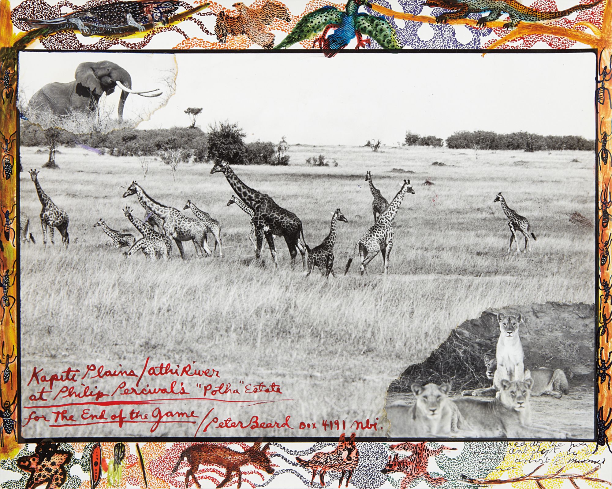 Kaputi Plains/ Athi River at Philip Percival's 'Potha Estate', For The End of the Game