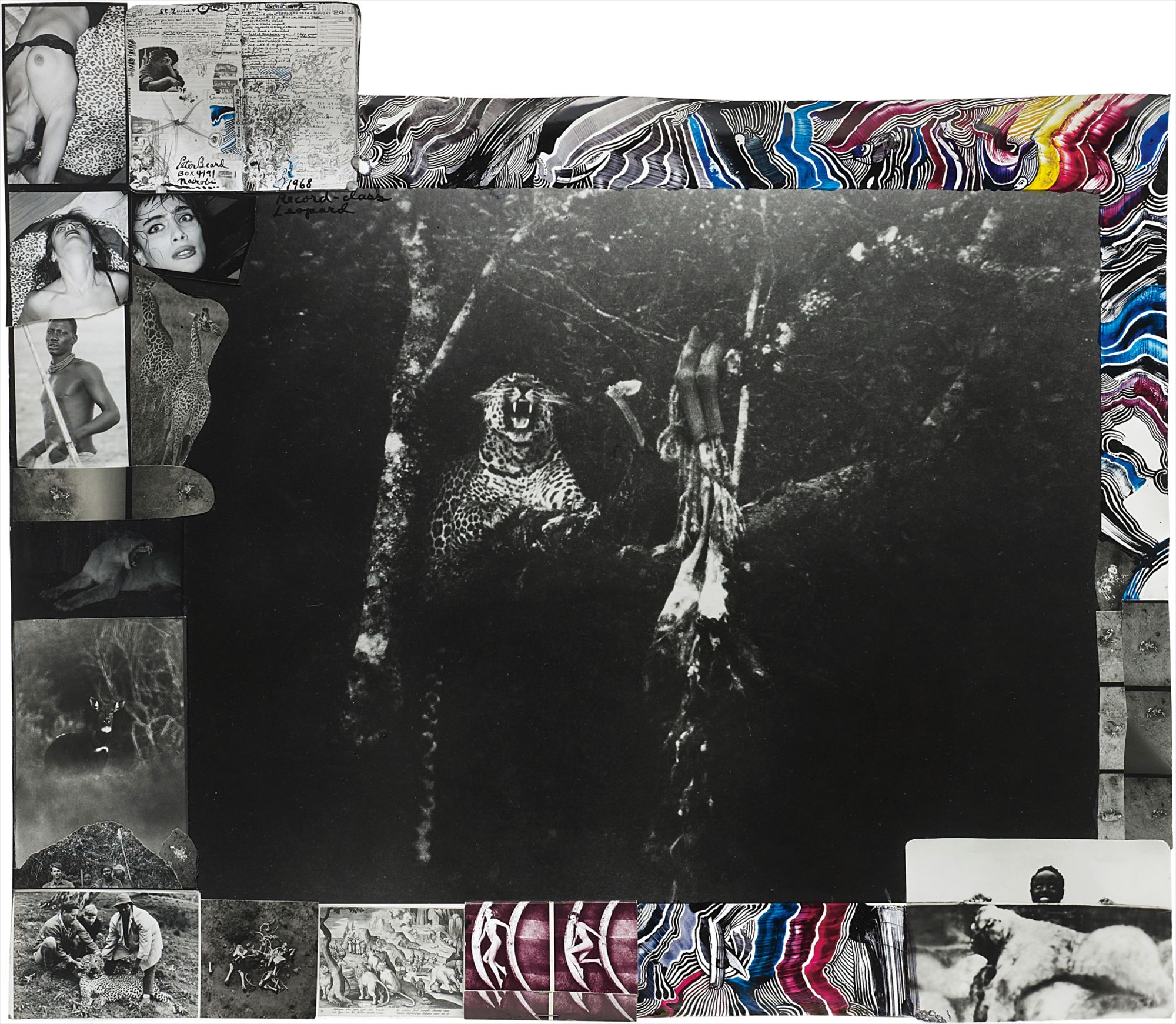 Peter Beard — Record-Class Leopard