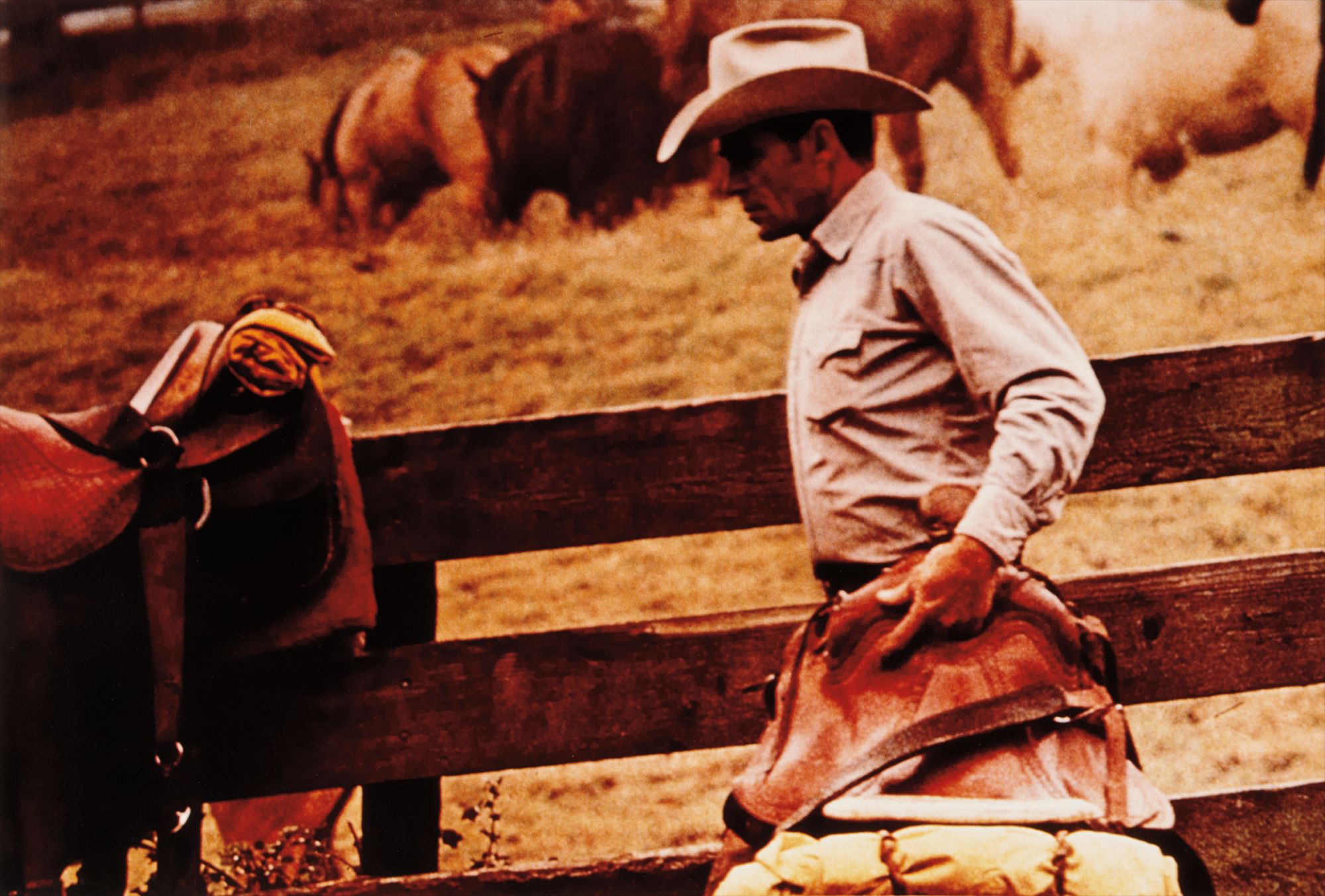 Richard Prince — Richard Prince