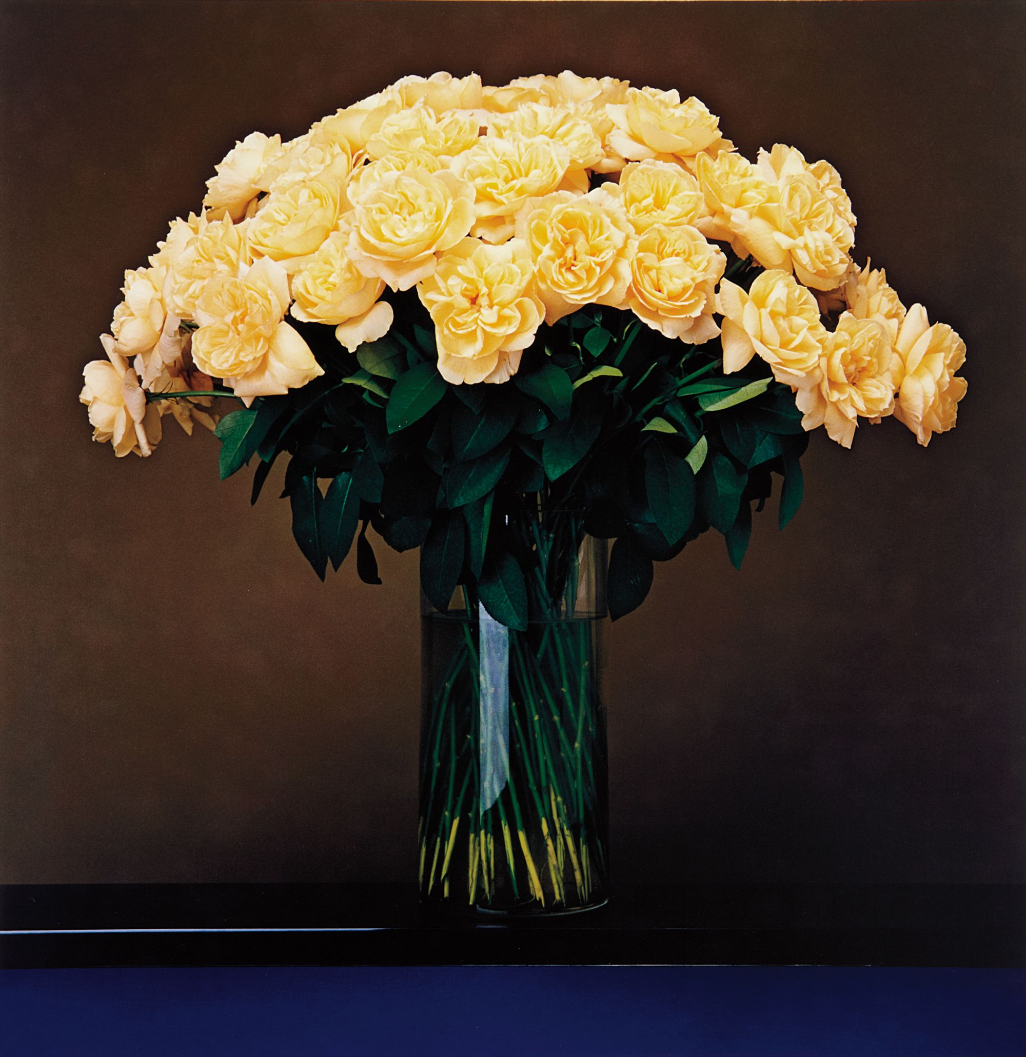 Robert Mapplethorpe — Roses