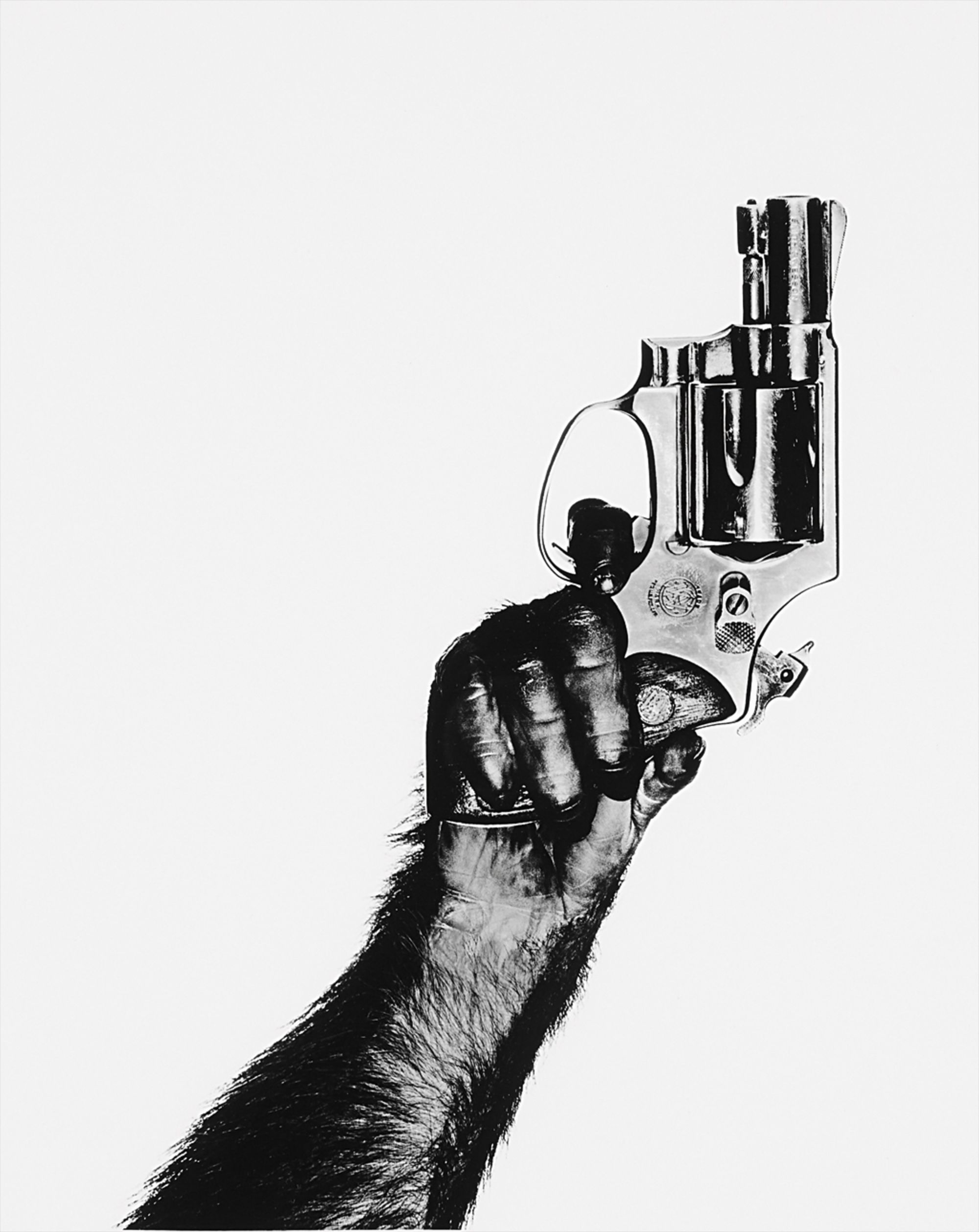 Albert Watson — Monkey with Gun, New York City