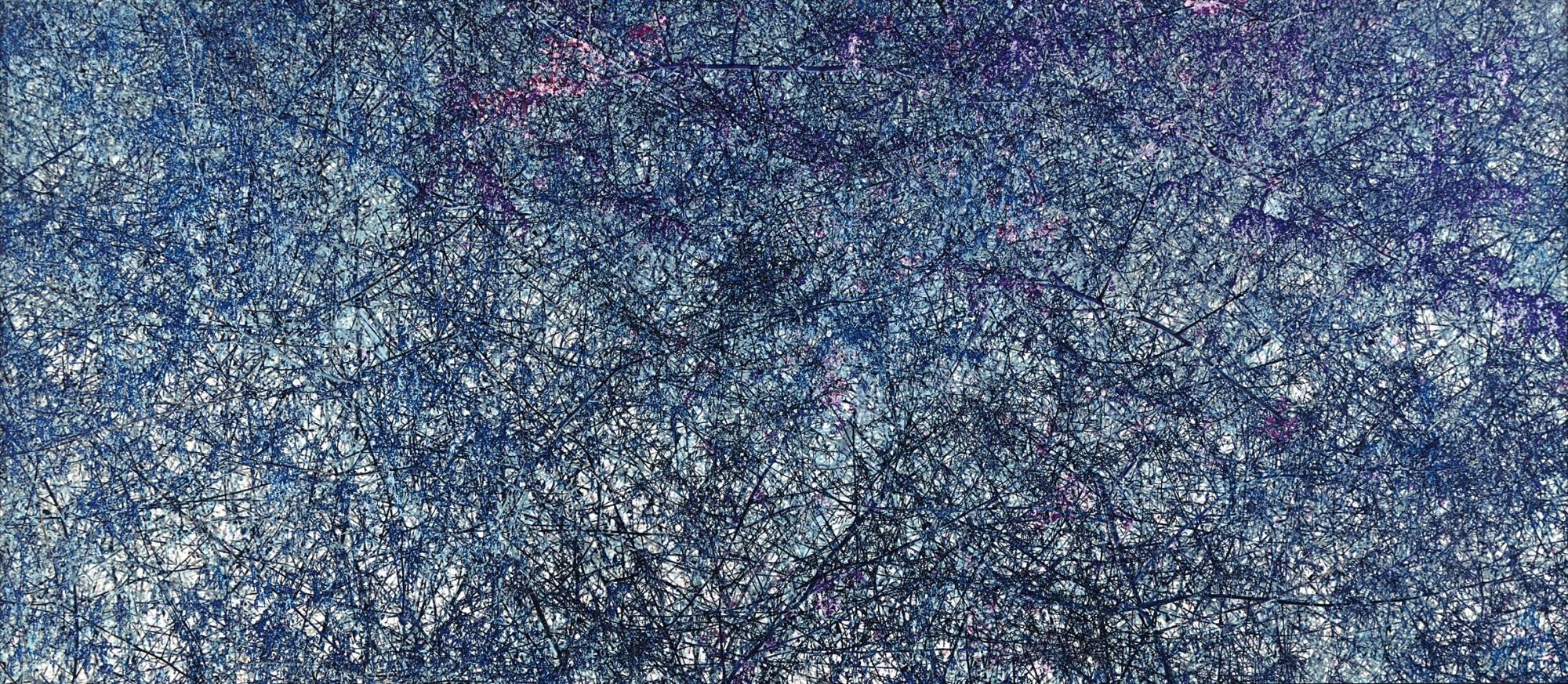 Richard Misrach — Richard Misrach