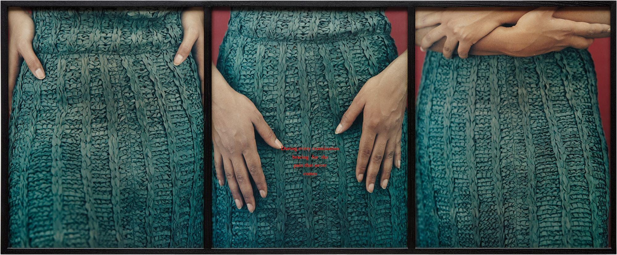 Lorna Simpson — Lower Region